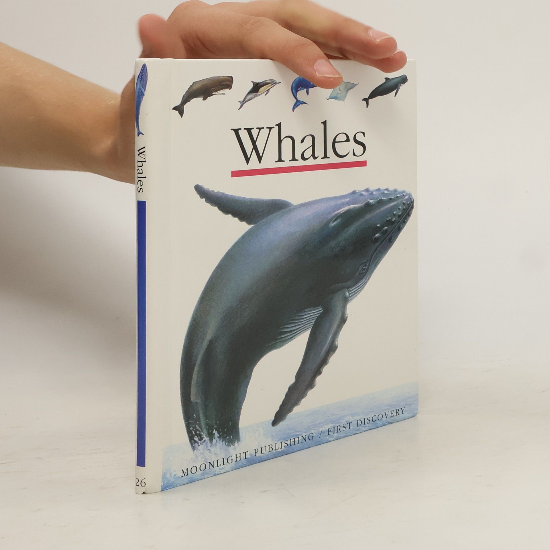 Collective Whales