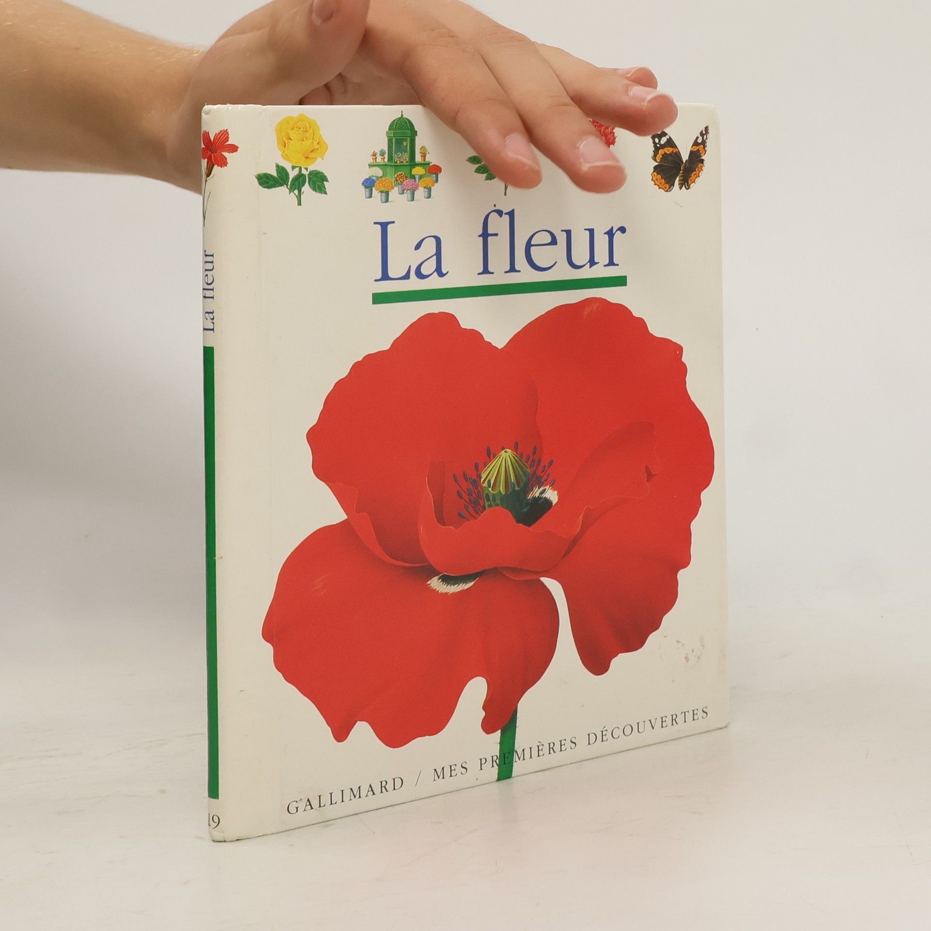 Claude Delafosse La fleur