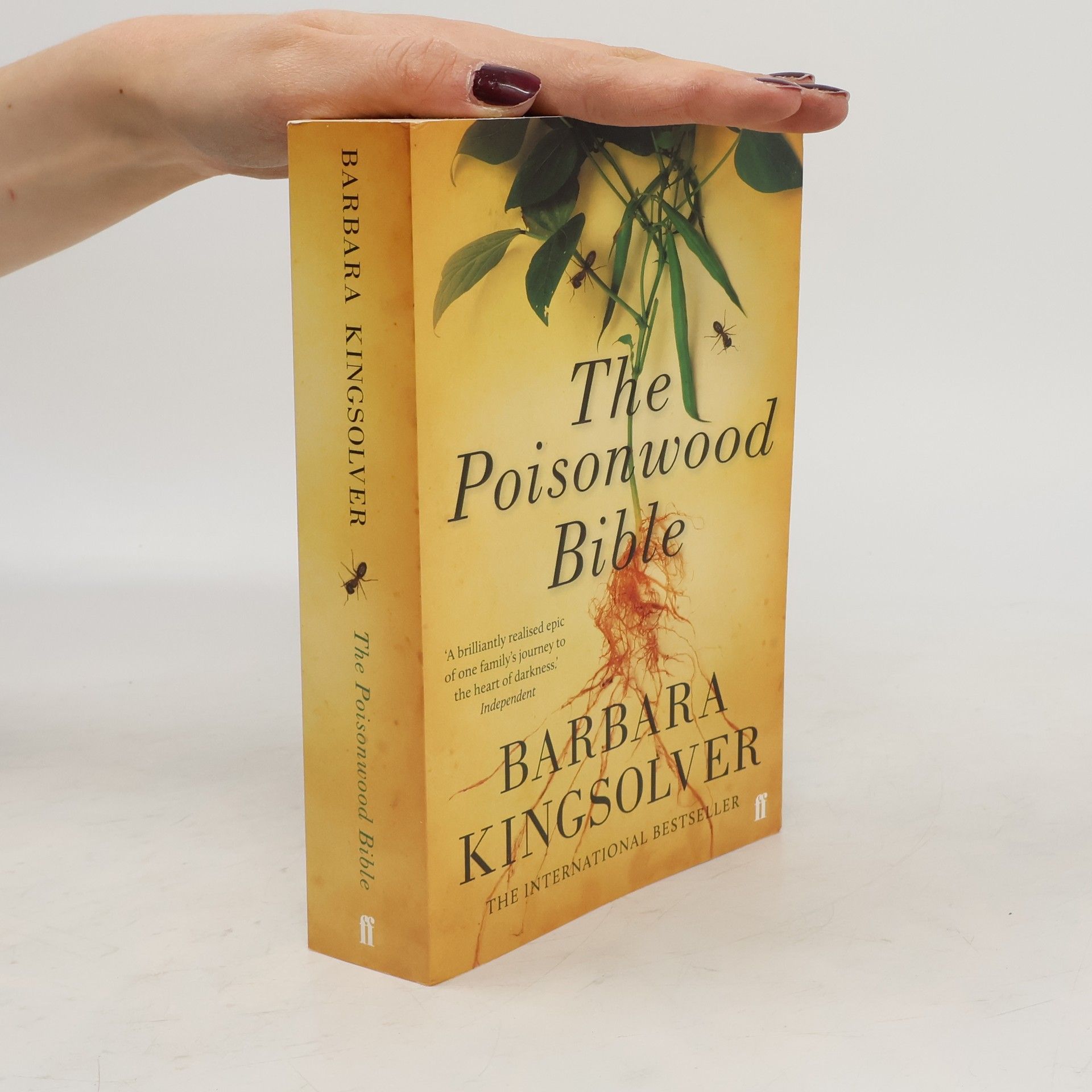 Barbara Kingslover The Poisonwood Bible