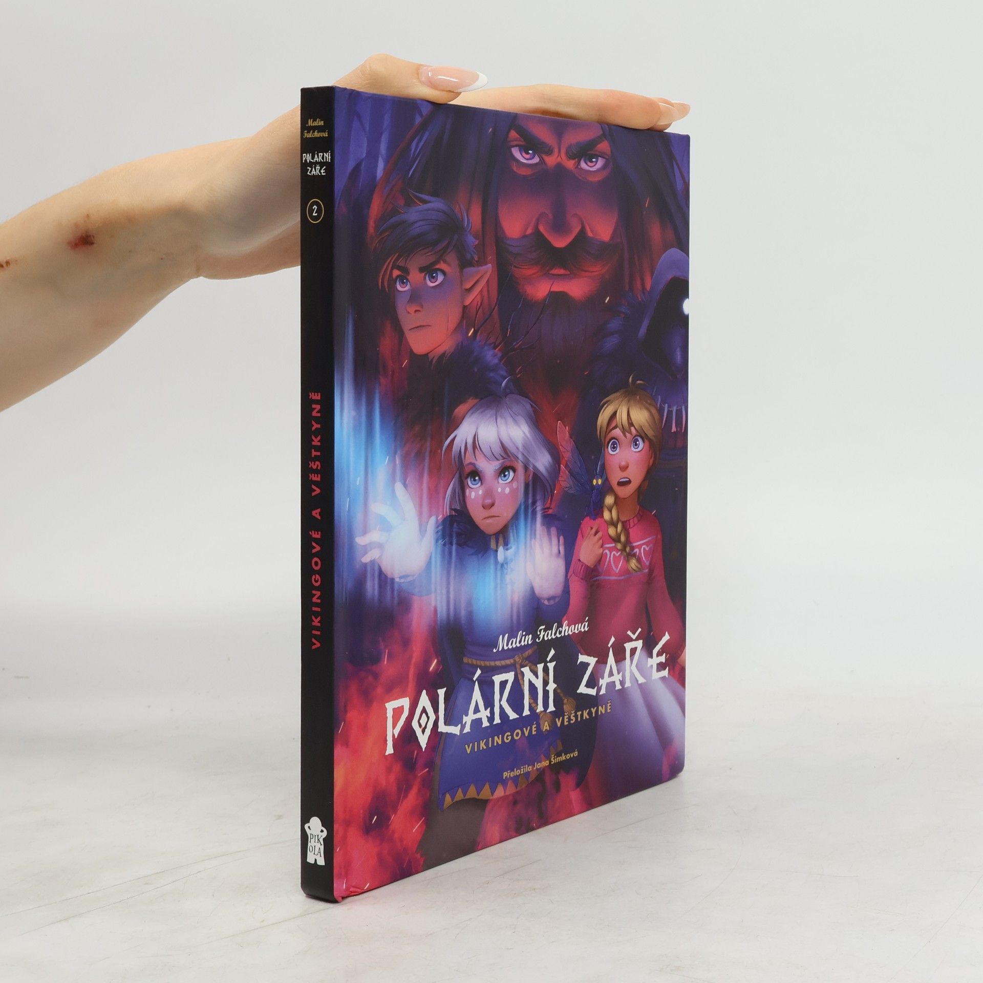 Malin Falch Polární záře. Vikingové a věštkyně