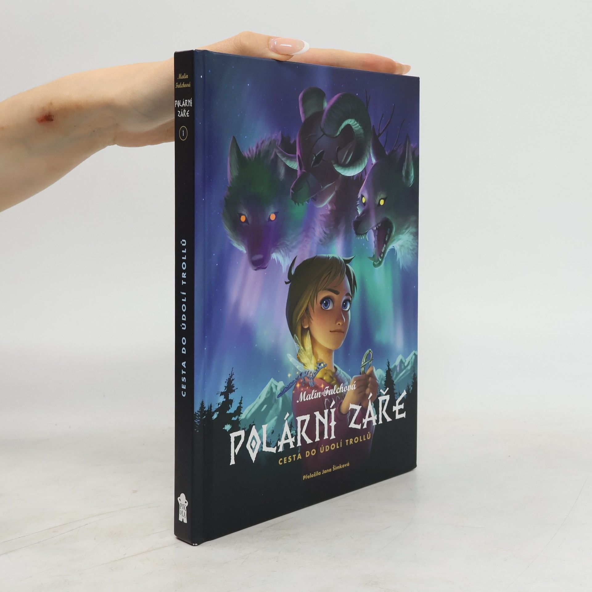 Malin Falch Polární záře. Cesta do Údolí trollů