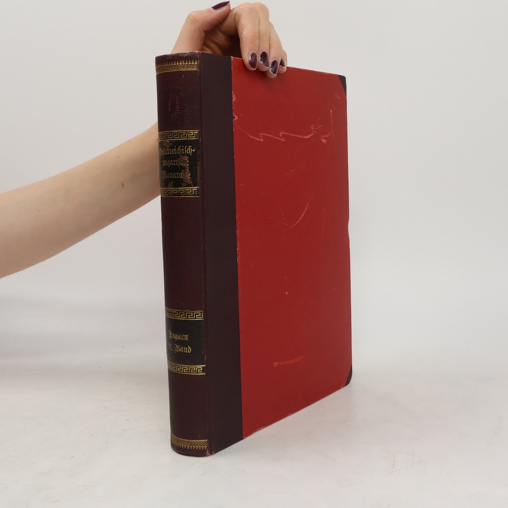 Autores varios Die österreichisch-ungarische Monarchie in Wort und Bild VI.