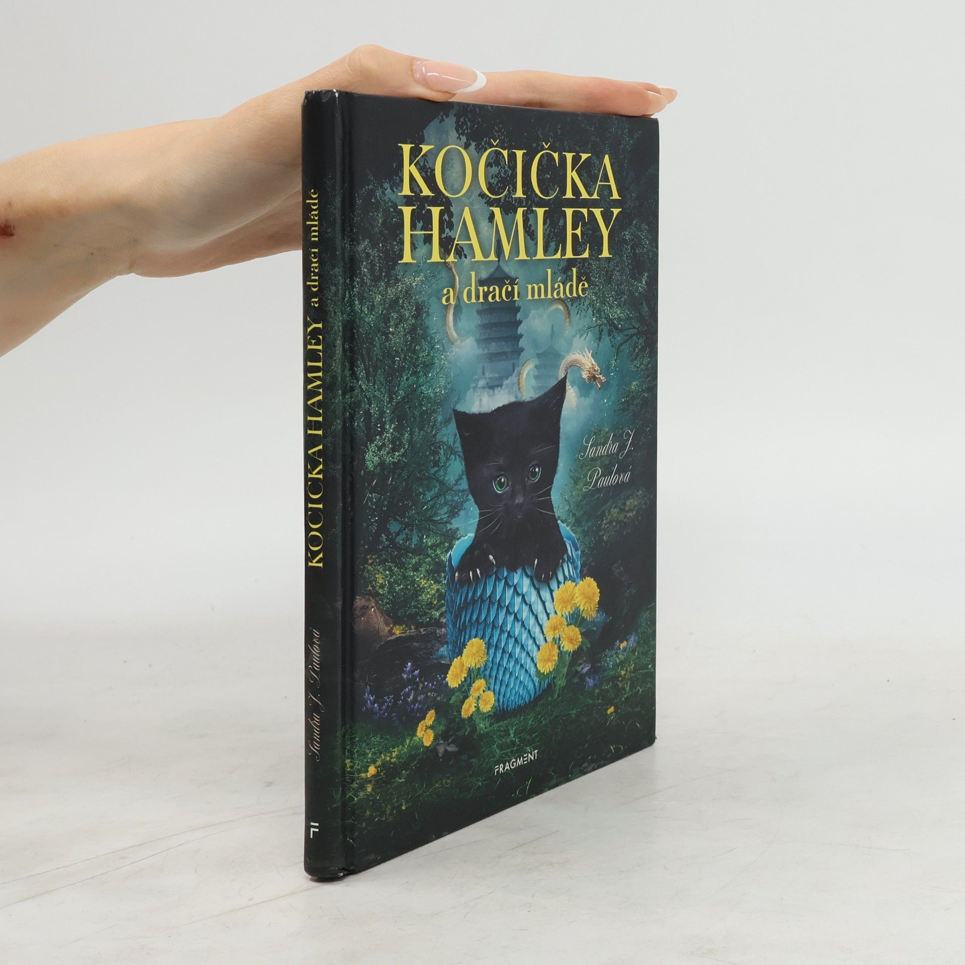 Sandra E Hockenbury Kočička Hamley a dračí mládě
