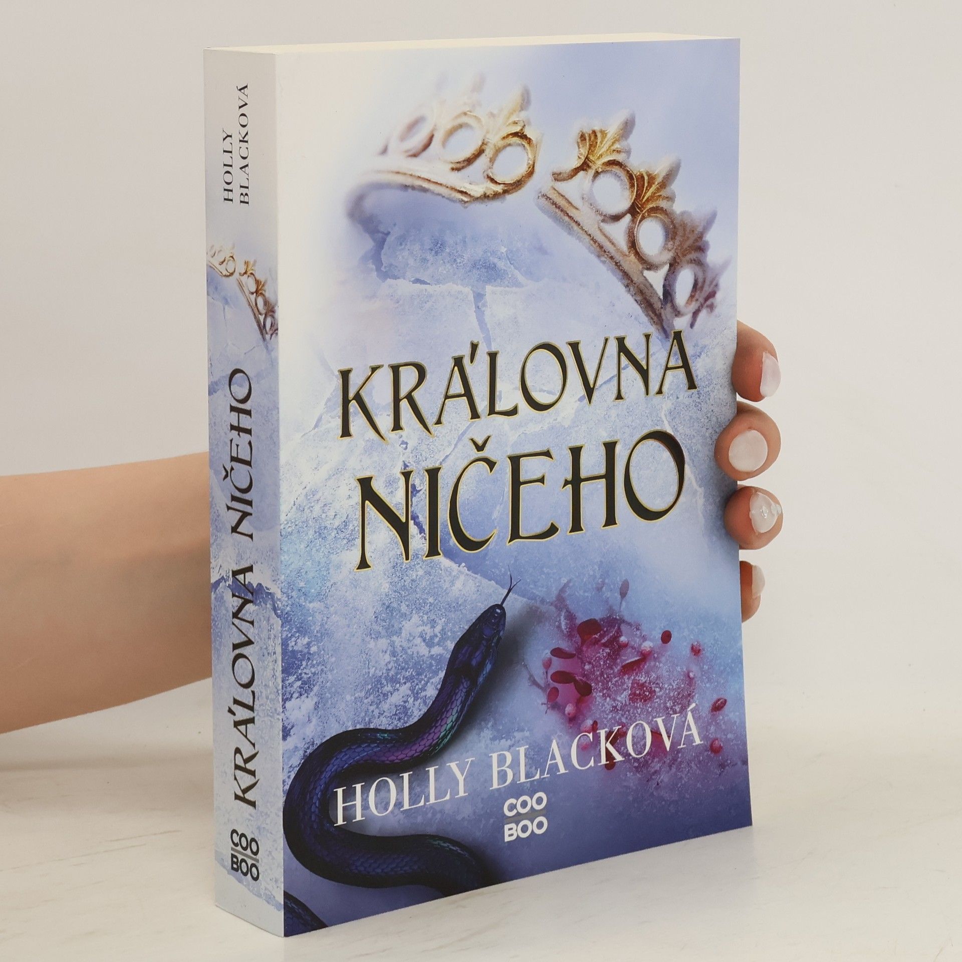 Holly Black Královna ničeho