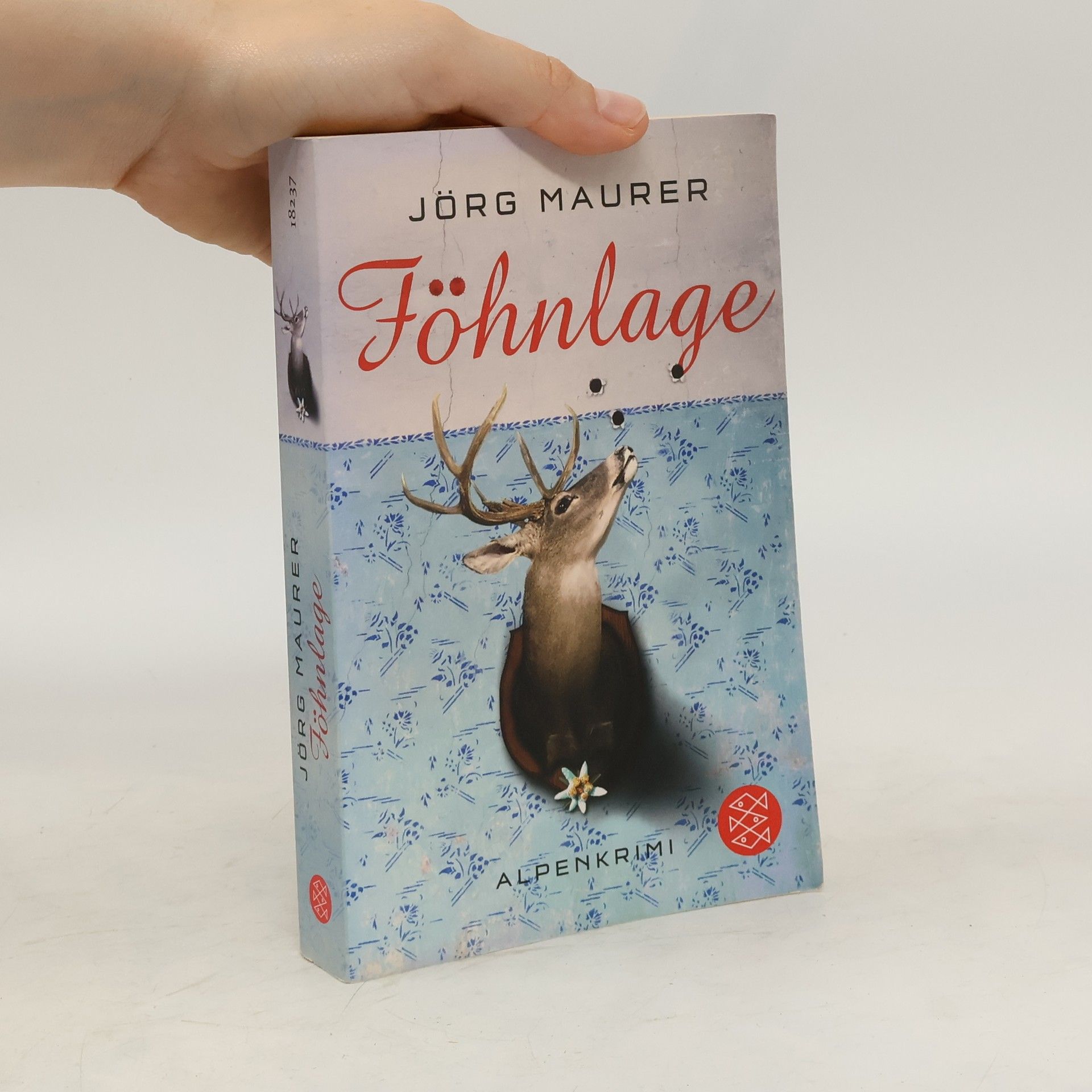 Jörg Maurer Föhnlage