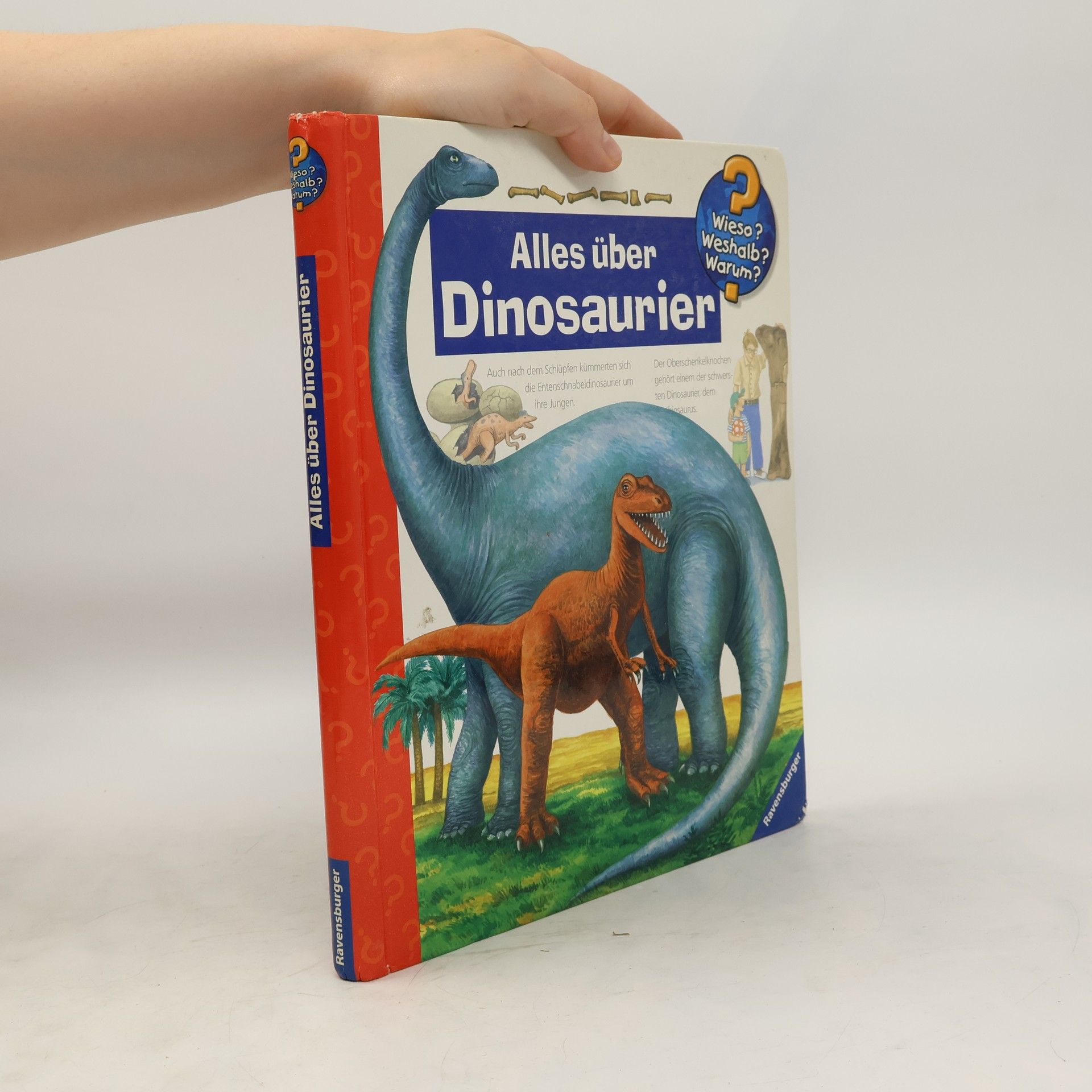 Patricia Mennen Alles über Dinosaurier