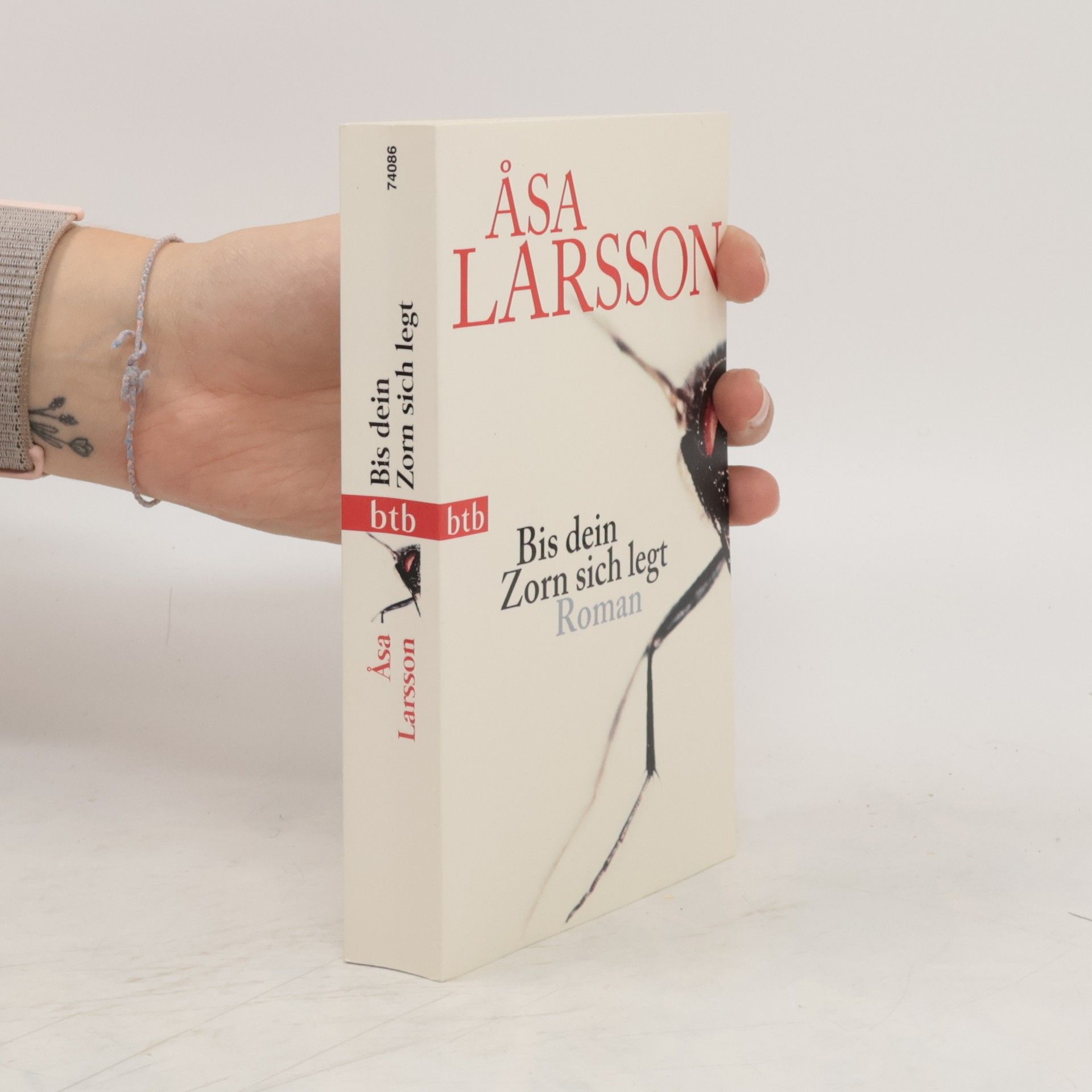 Åsa Larssonová Bis dein Zorn sich legt