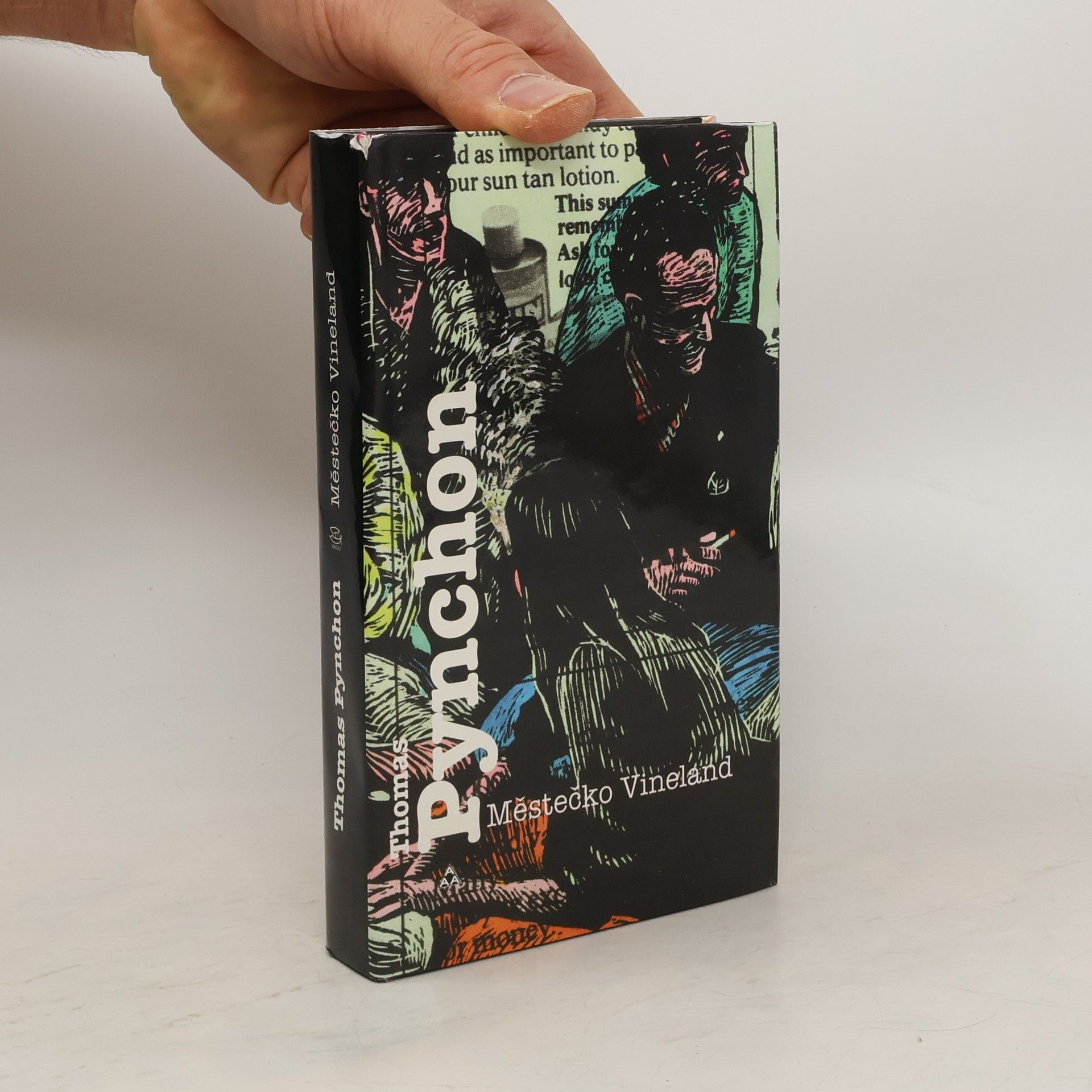 Thomas Pynchon Městečko Vineland