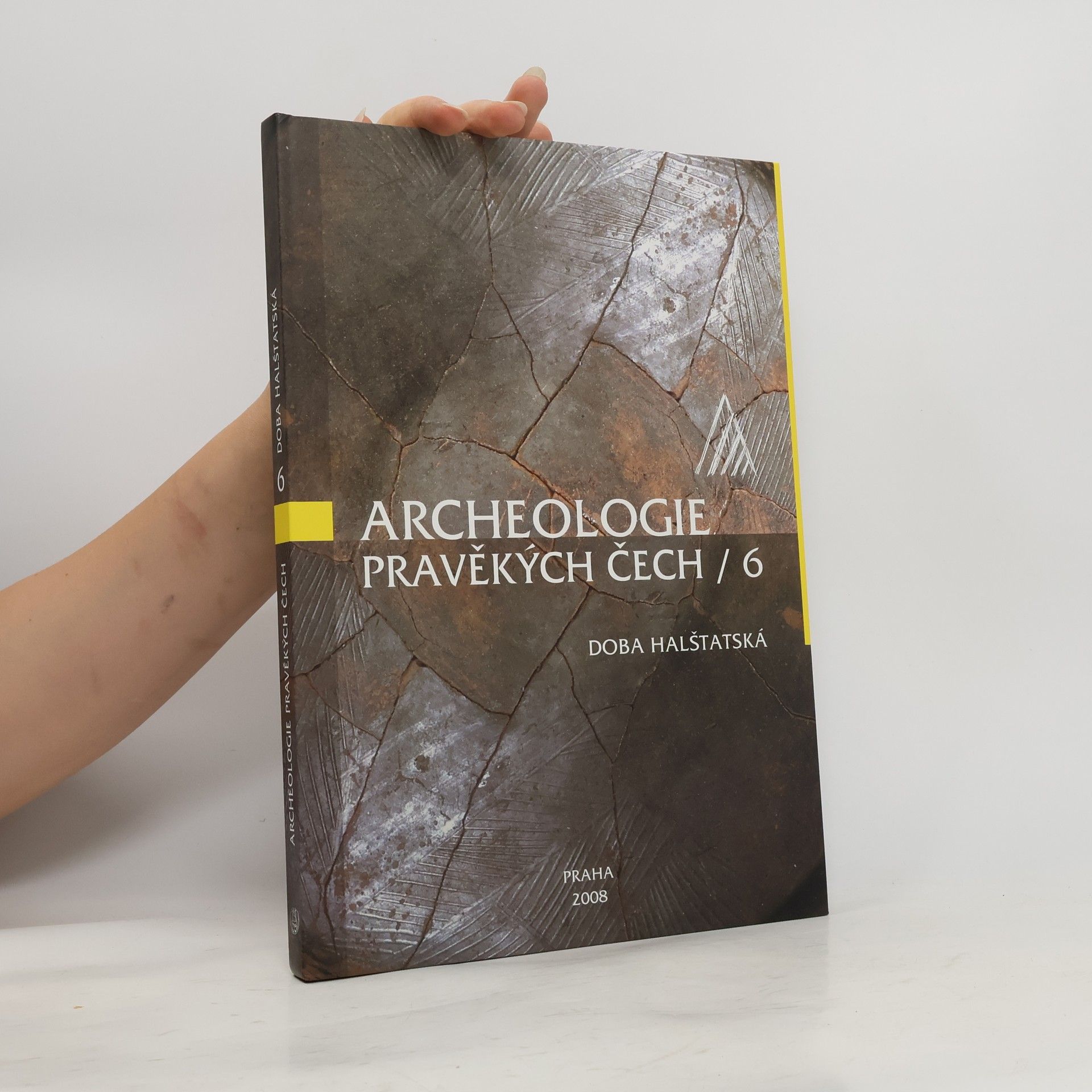 kolektiv Archeologie pravěkých Čech : Doba halštatská. 6