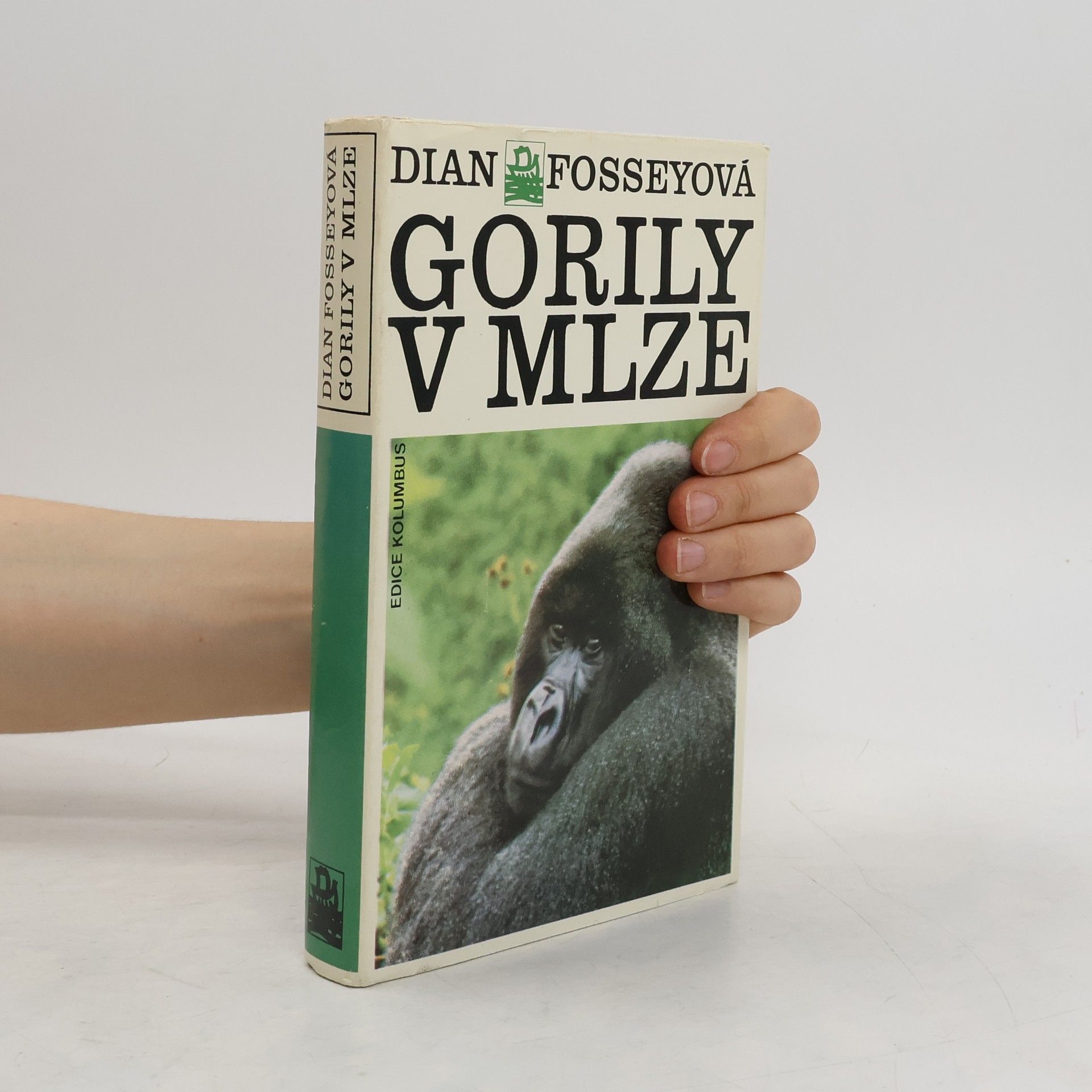 Dian Fossey Gorily v mlze
