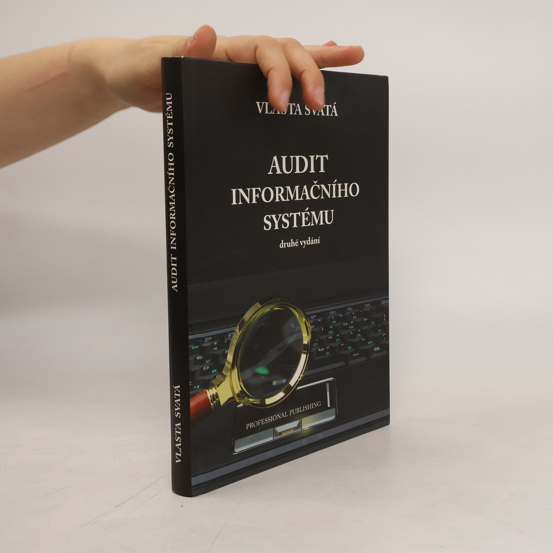 Vlasta Svatá Audit informačního systému