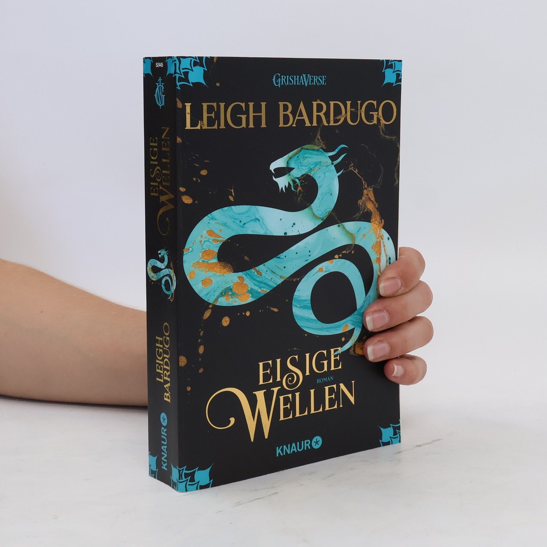 Leigh Bardugo Eisige Wellen
