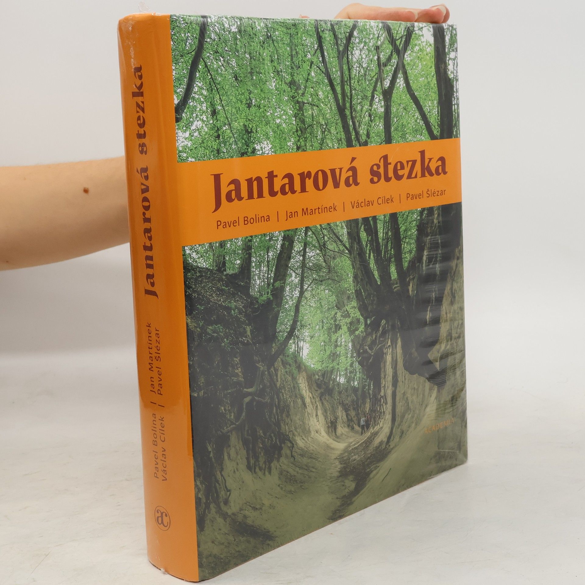 Pavel Bolina Jantarová stezka