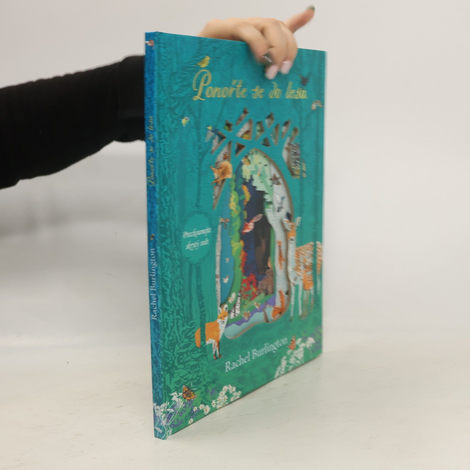 Rachel Burlington Ponořte se do lesa