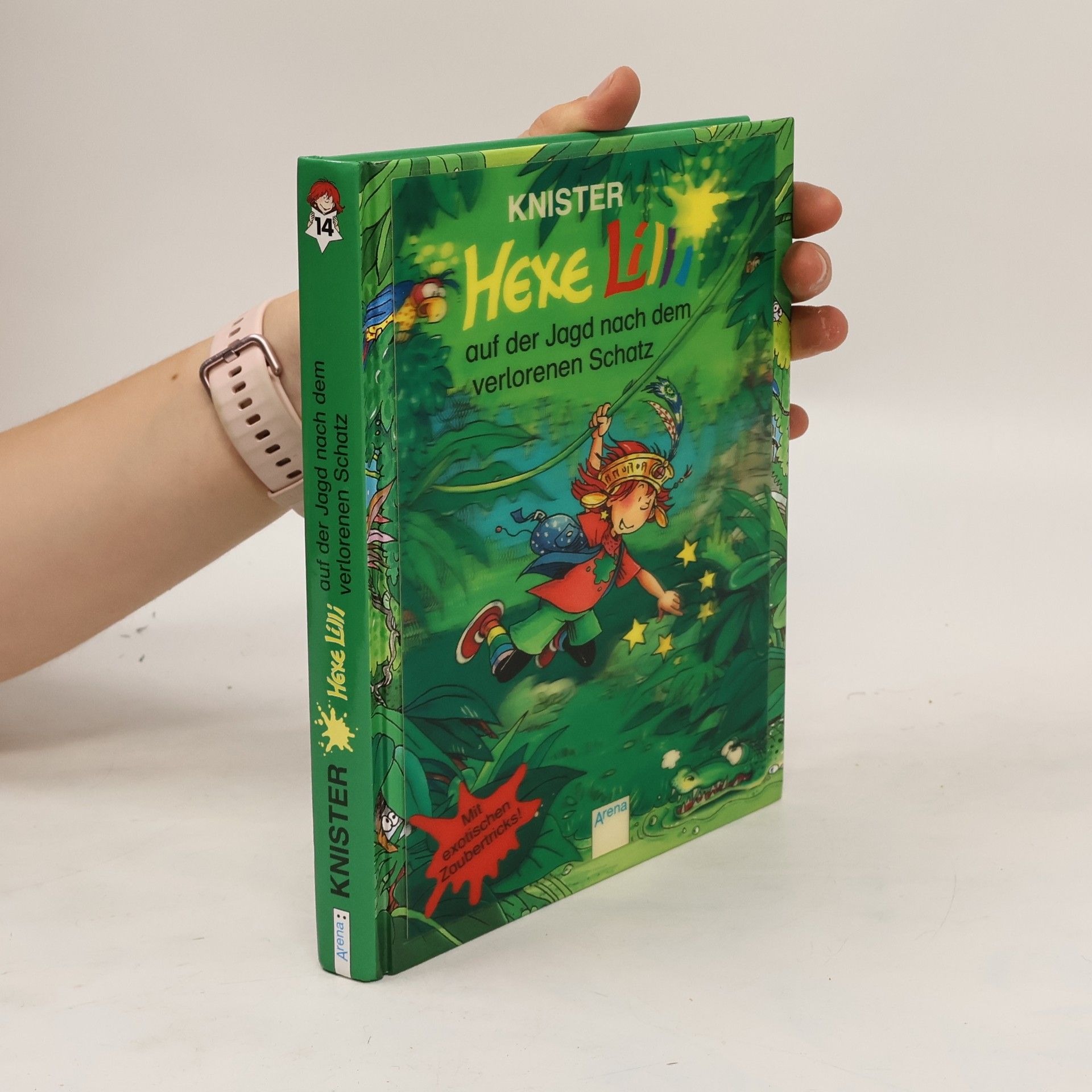 Knister Hexe Lilli auf der Jagd nach dem verlorenen Schatz