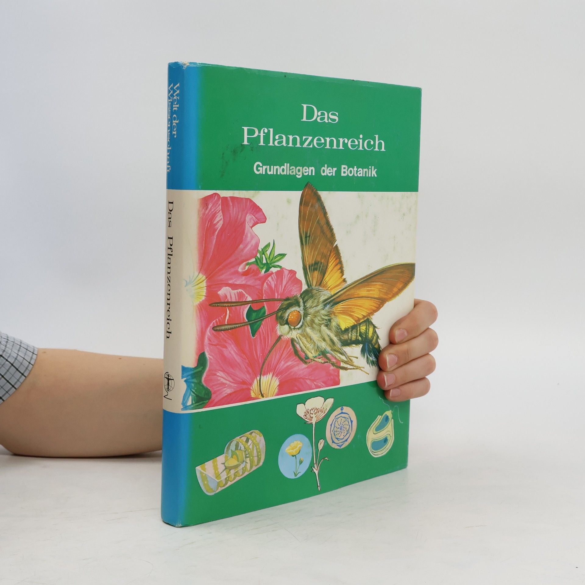 Collectif d'auteurs Das Pflanzenreich