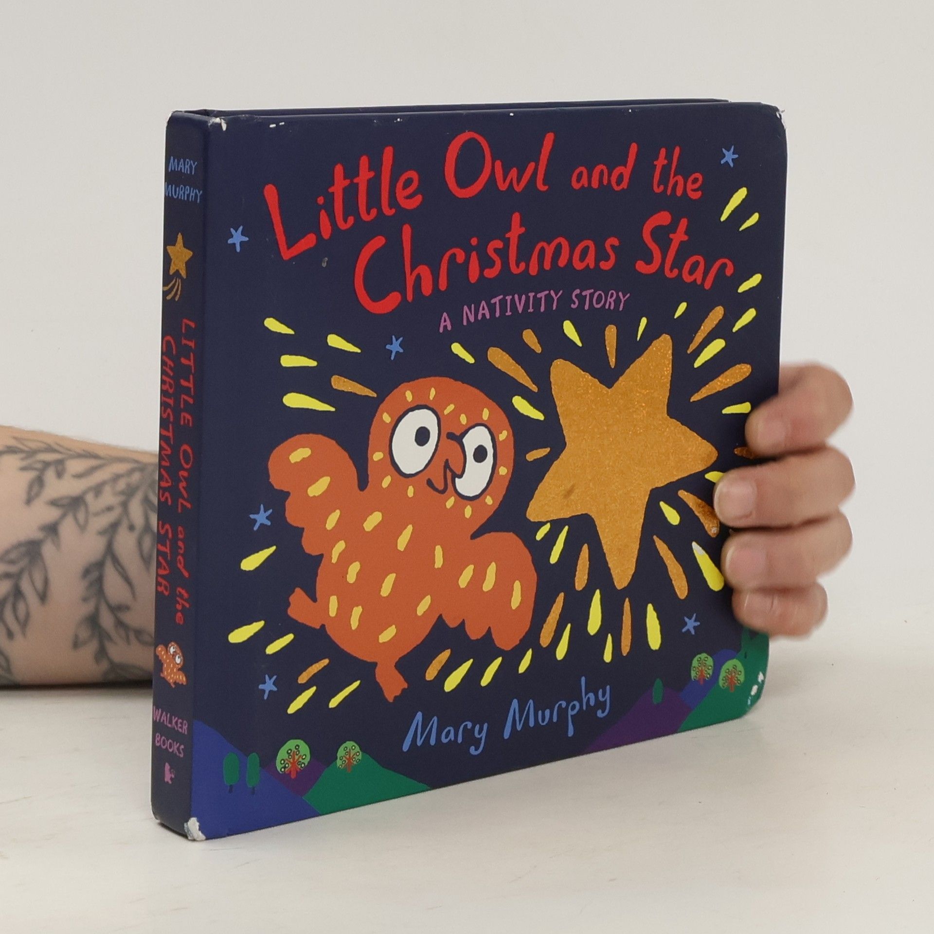 Mary Murphy Little Owl and the Christmas Star