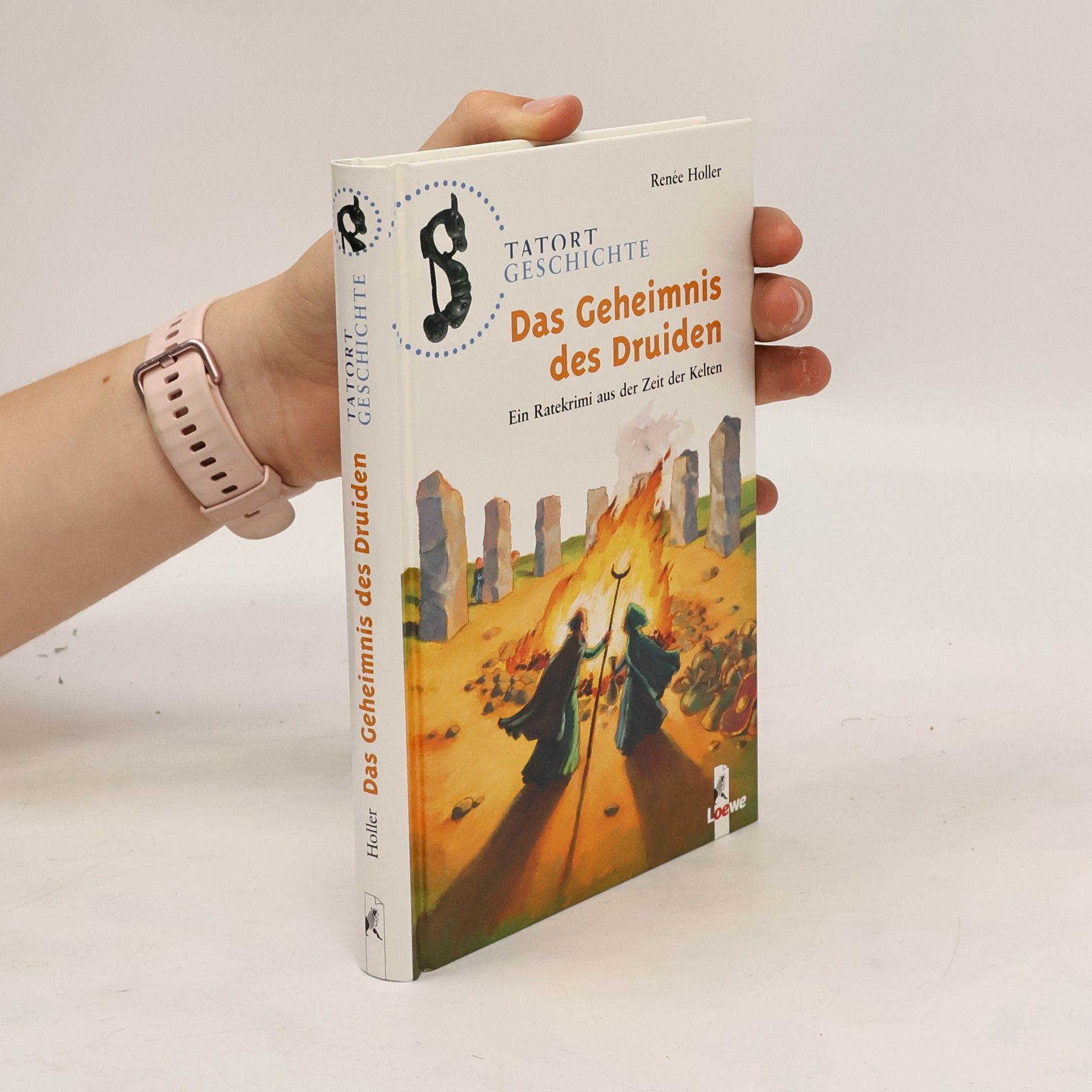 Renée Holler Das Geheimnis des Druiden