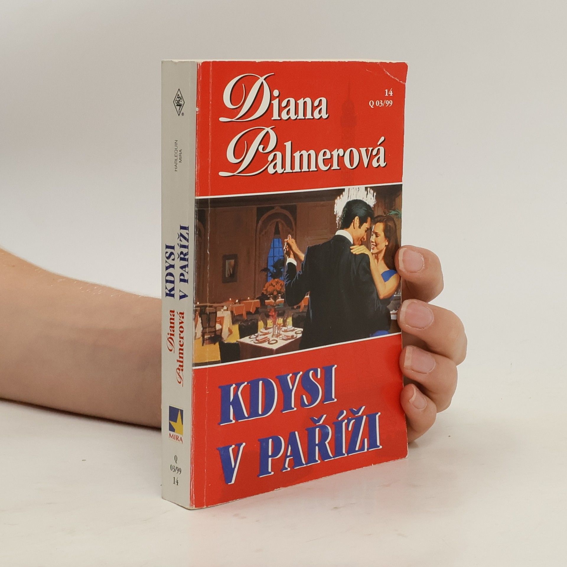 Diana Palmer Kdysi v Paříži