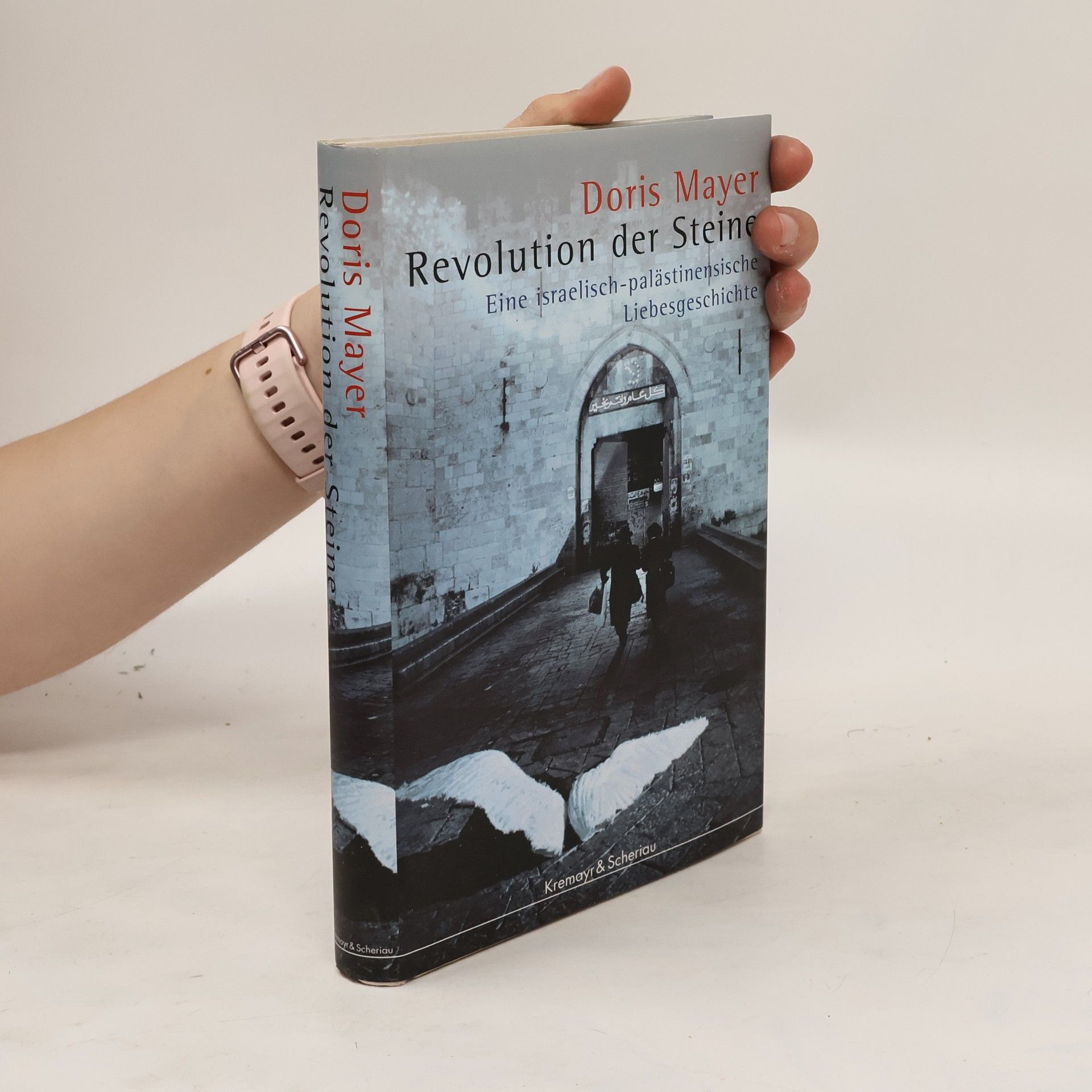 Doris Mayer Revolution der Steine