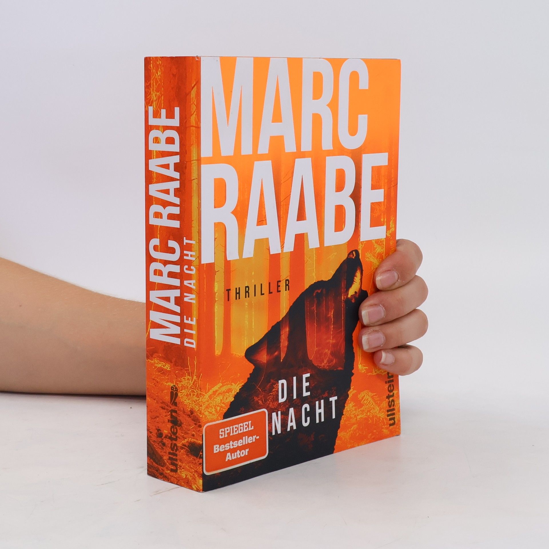 Marc Raabe Die Nacht
