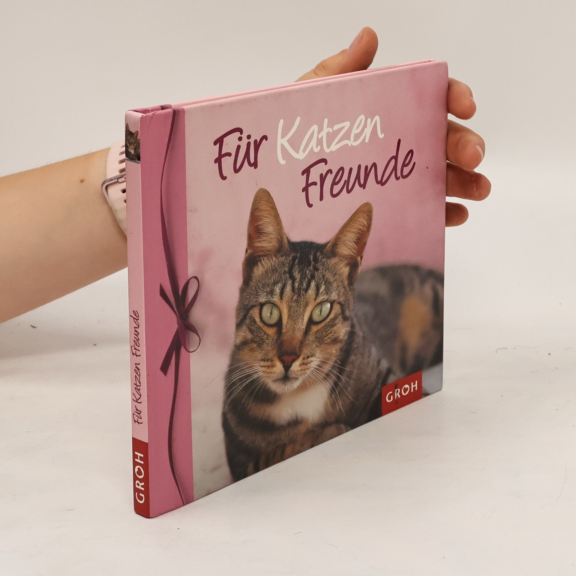 Nina Sandmann Für Katzen-Freunde