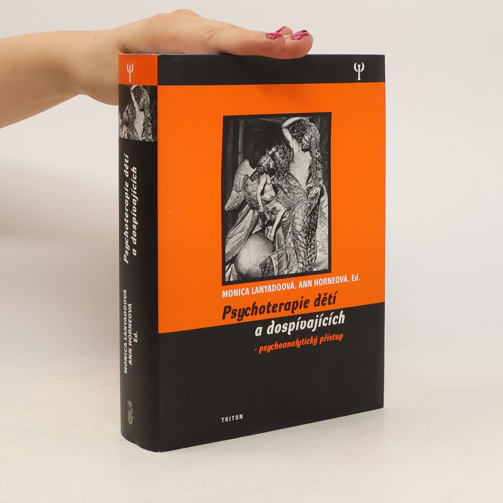 Monica Lanyado Psychoterapie dětí a dospívajících