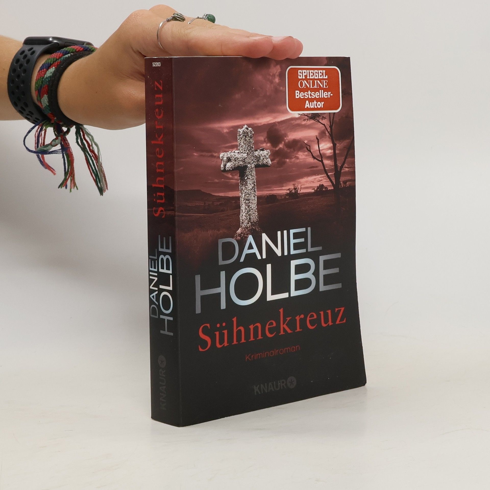 Daniel Holbe Sühnekreuz