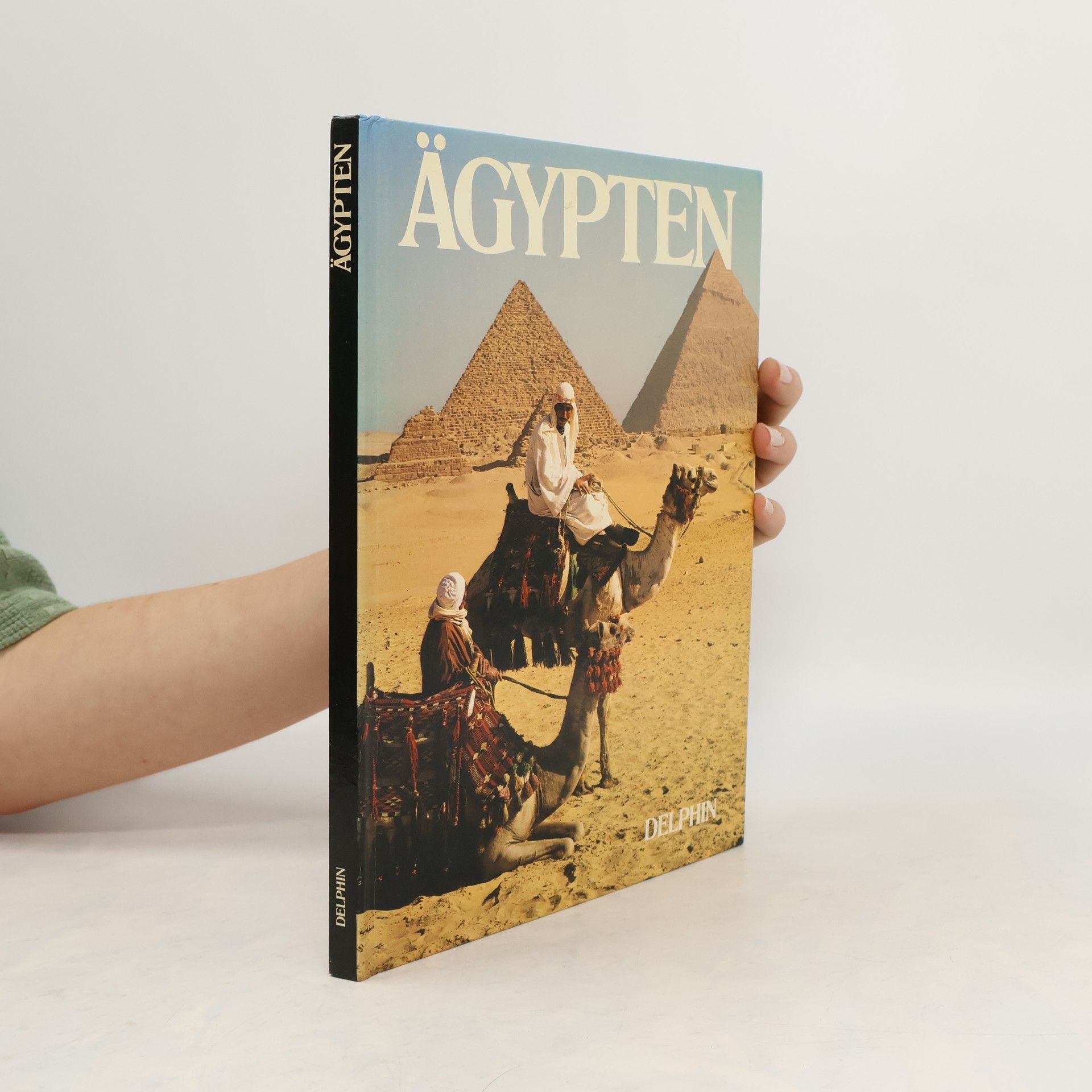 David Gibbon Ägypten