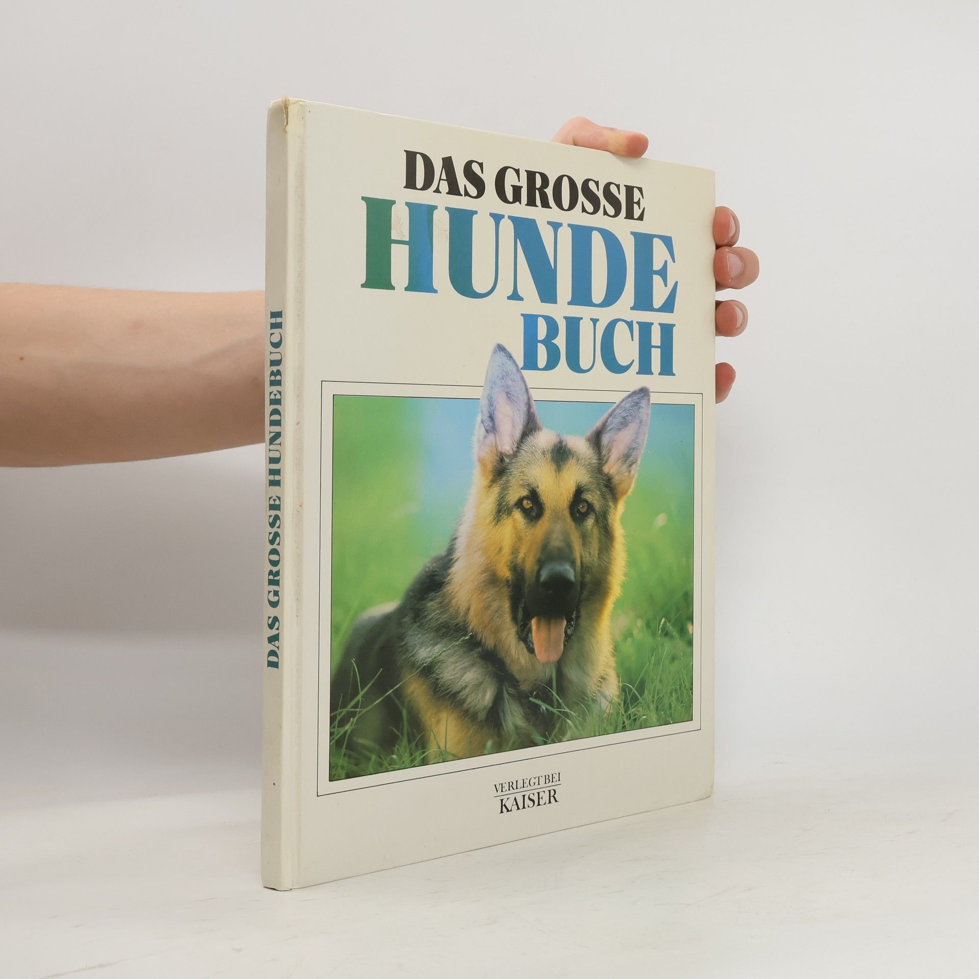kolektiv Das Grosse Hunde Buch