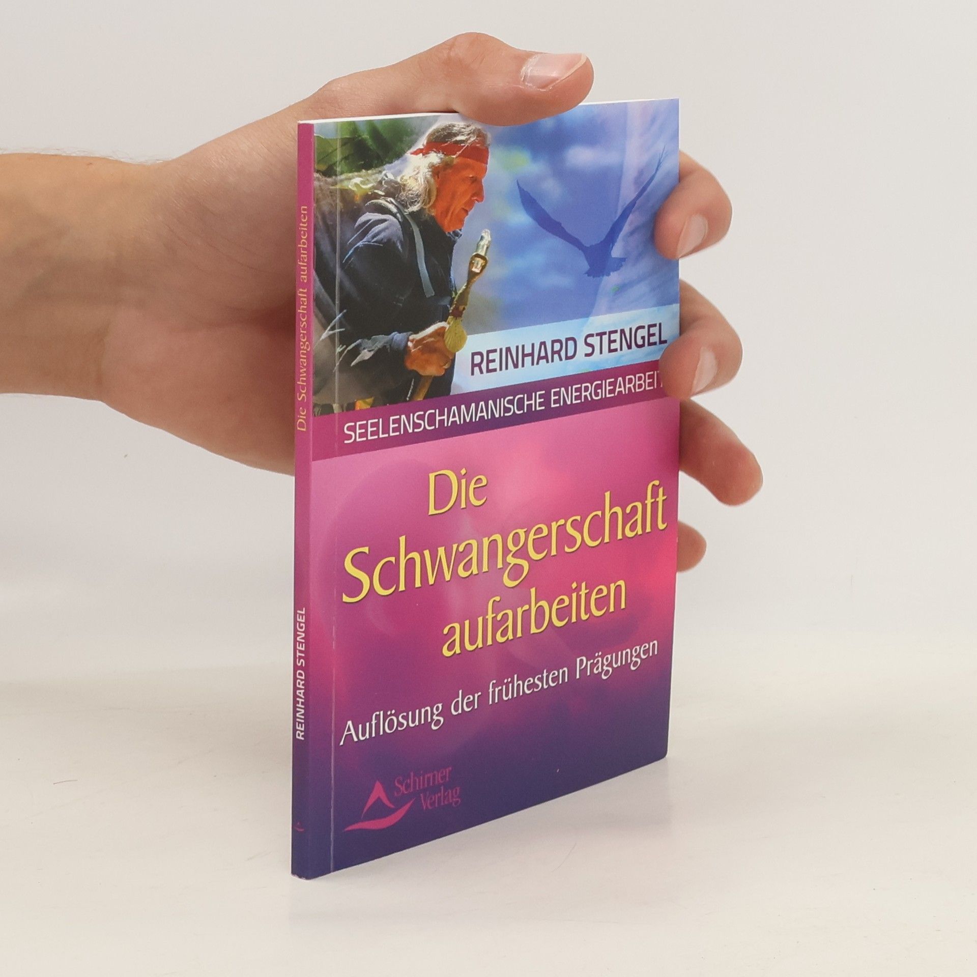 Reinhard Stengel Die Schwangerschaft aufarbeiten