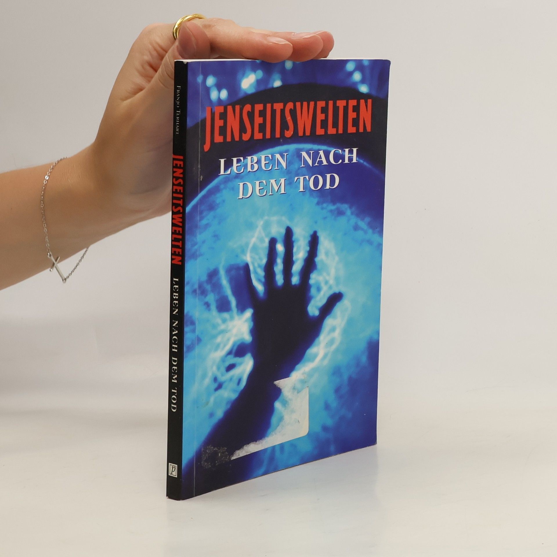 Autorenkollektiv Jenseitswelten. Leben nach dem Tod