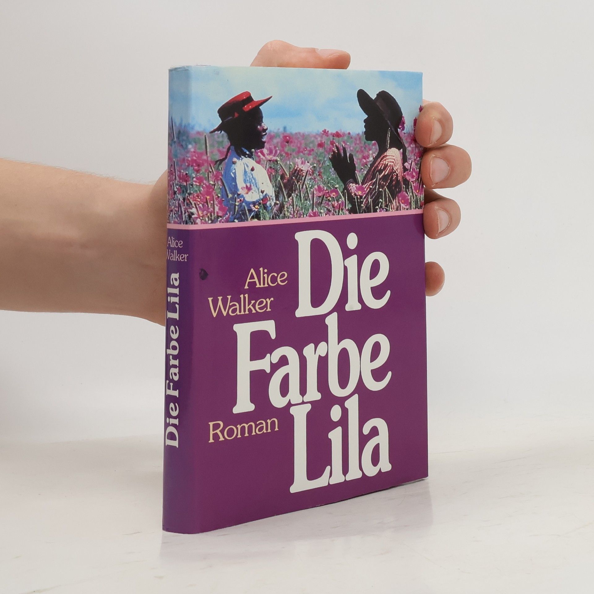 Alice Walker Die Farbe Lila