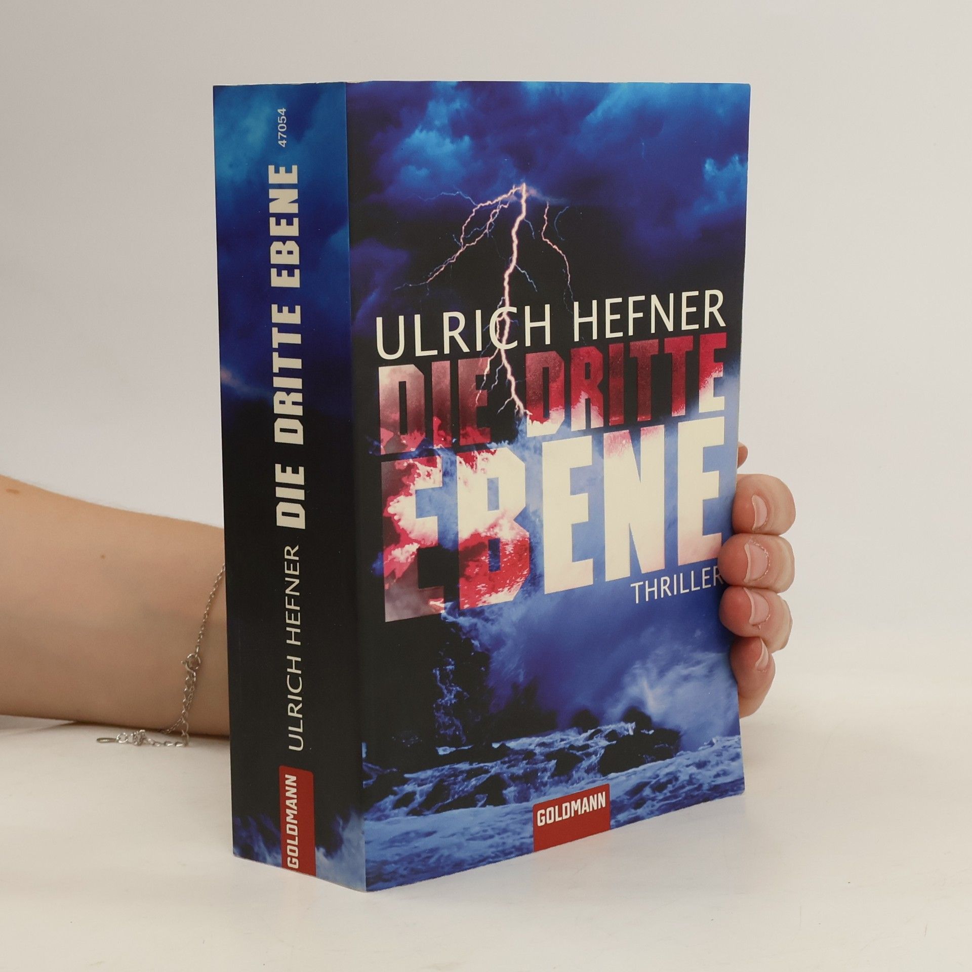 Ulrich Hefner Die dritte Ebene