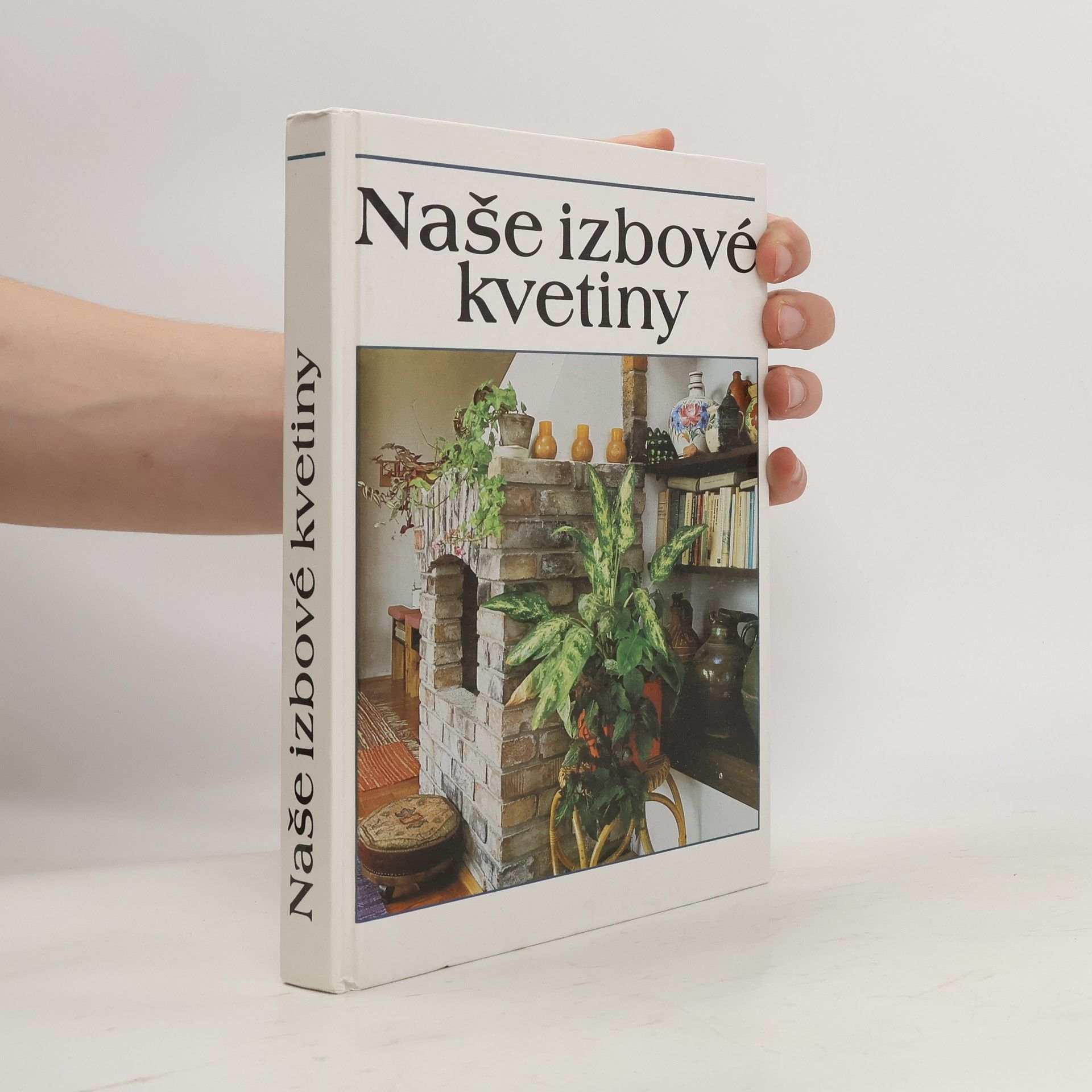 Lajos Lelkes Naše izbové kvetiny
