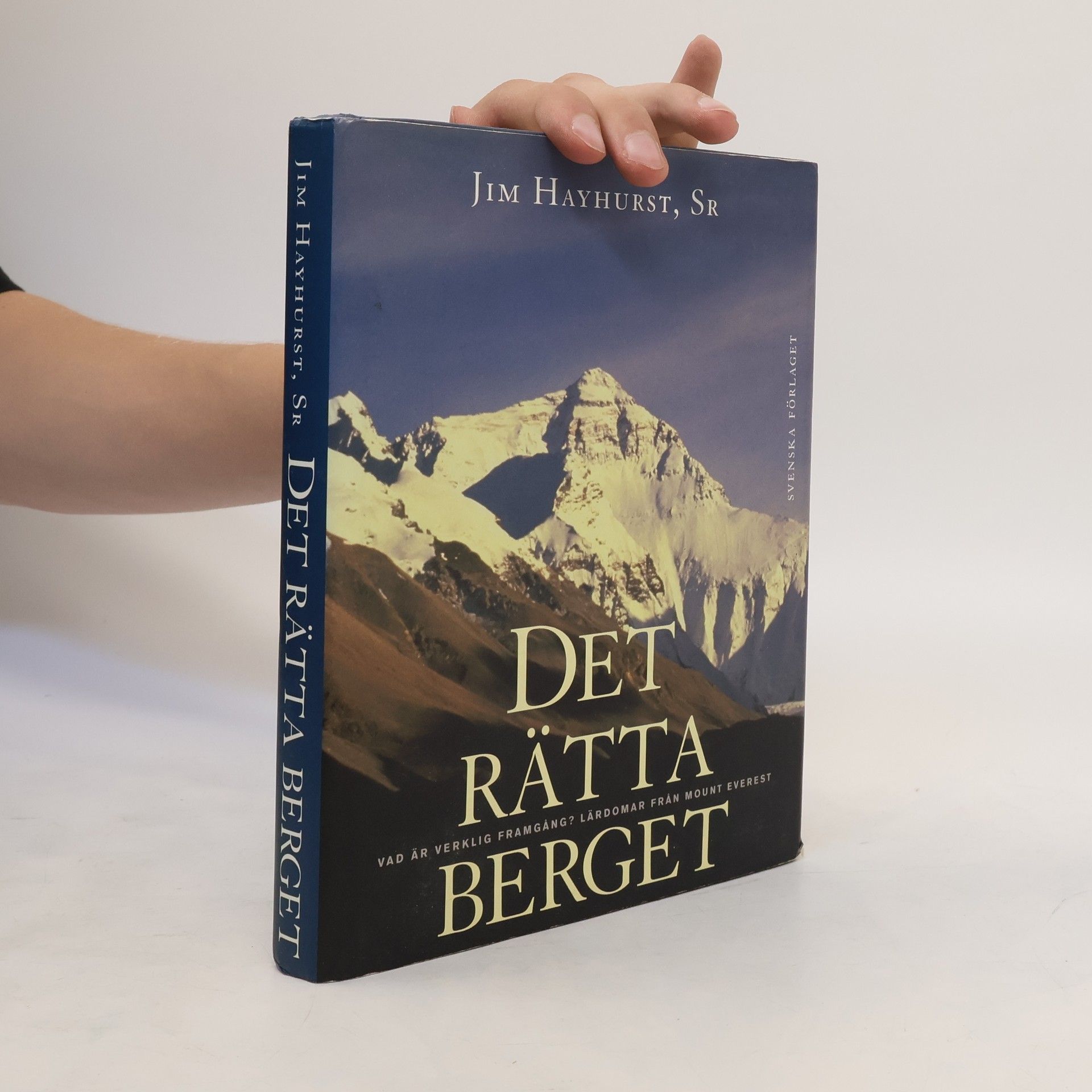 Jim Hayhurst Det rätta berget