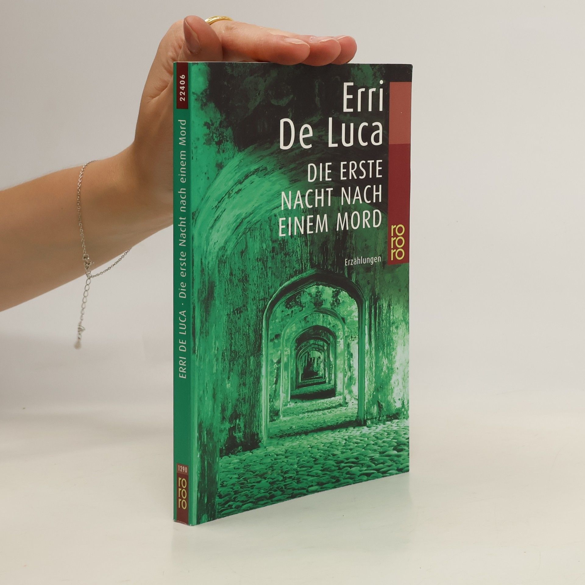 Erri De Luca Die erste Nacht nach einem Mord. Erzählungen
