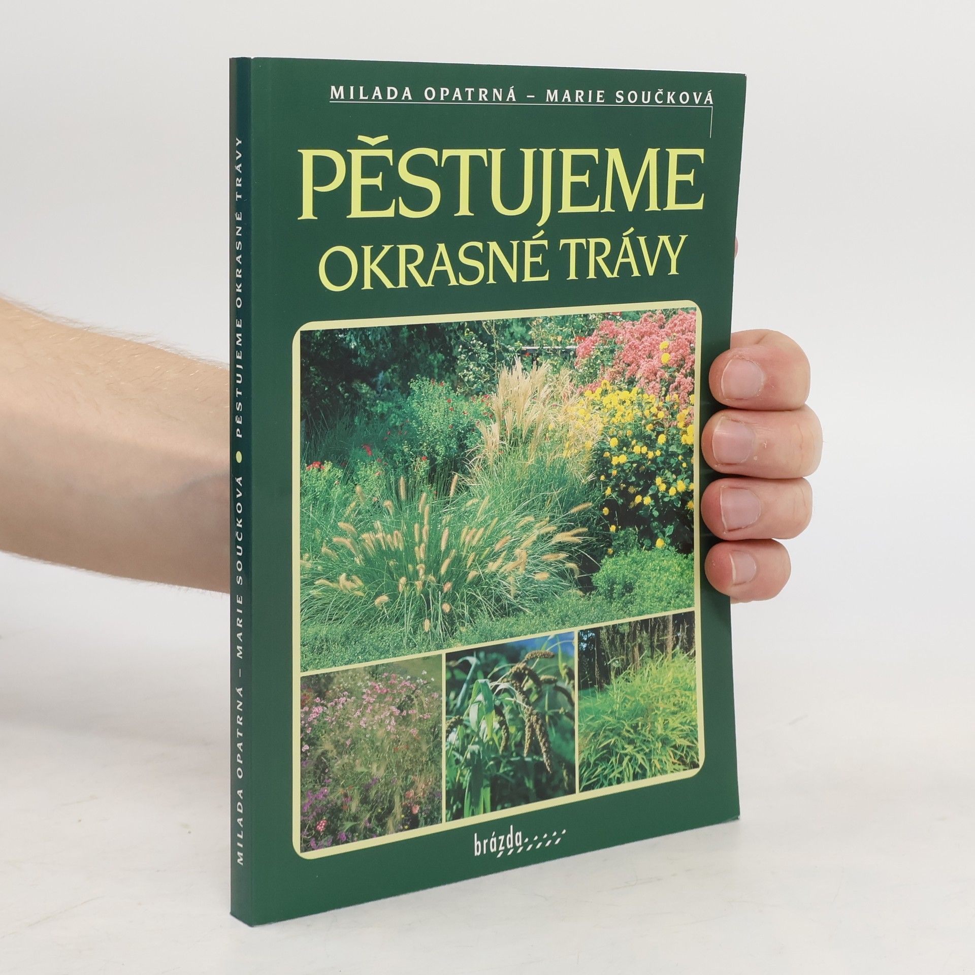 Milada Opatrná Pěstujeme okrasné trávy