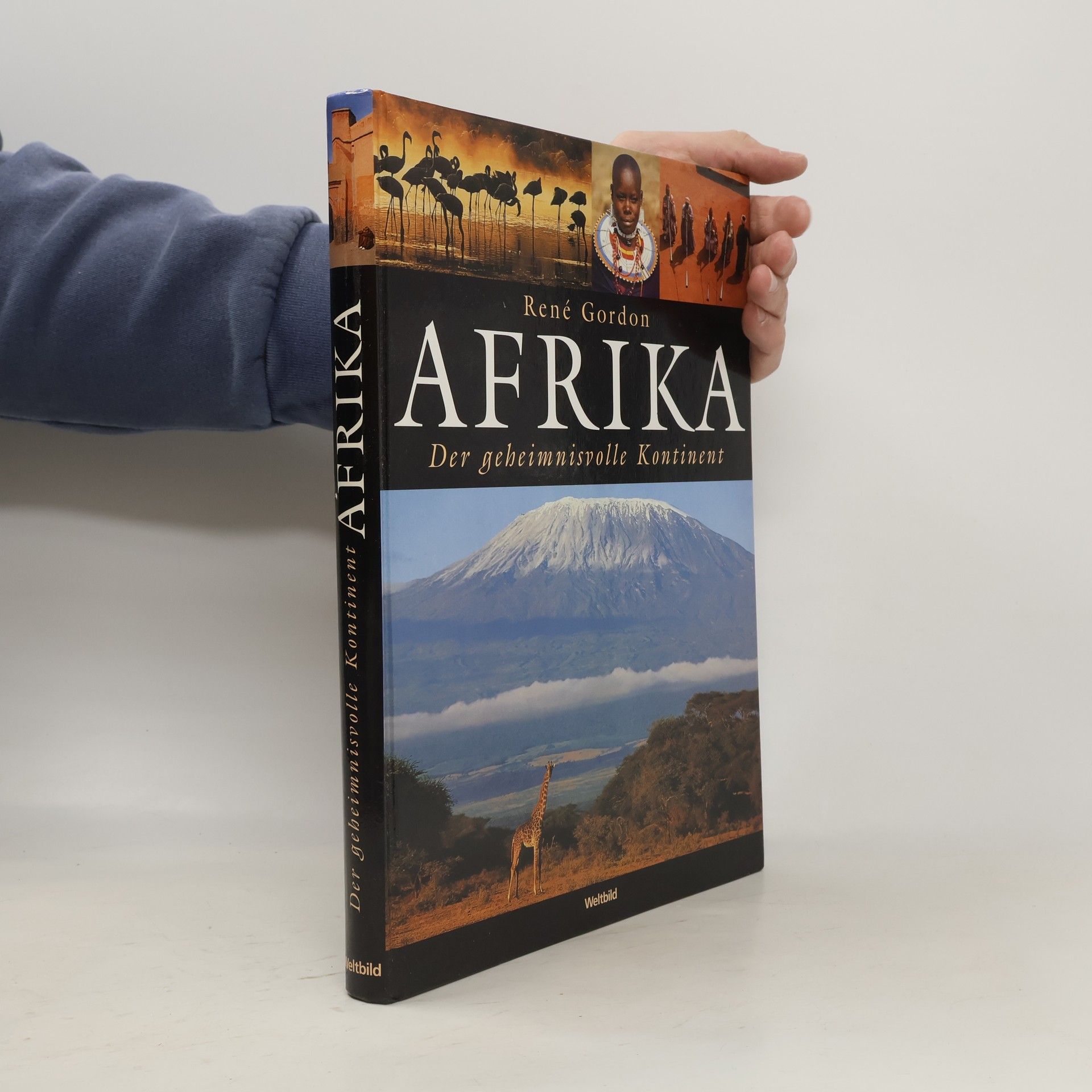 Rene Gordon Afrika