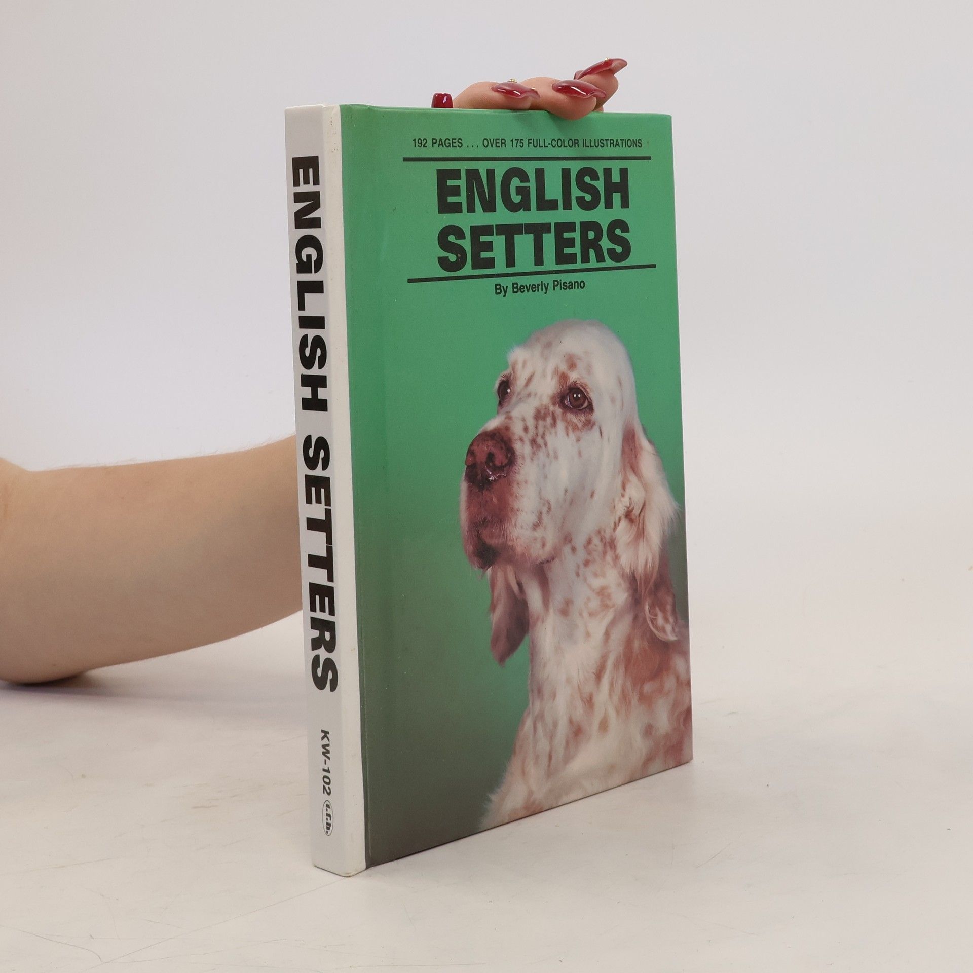 Beverly Pisano English Setters