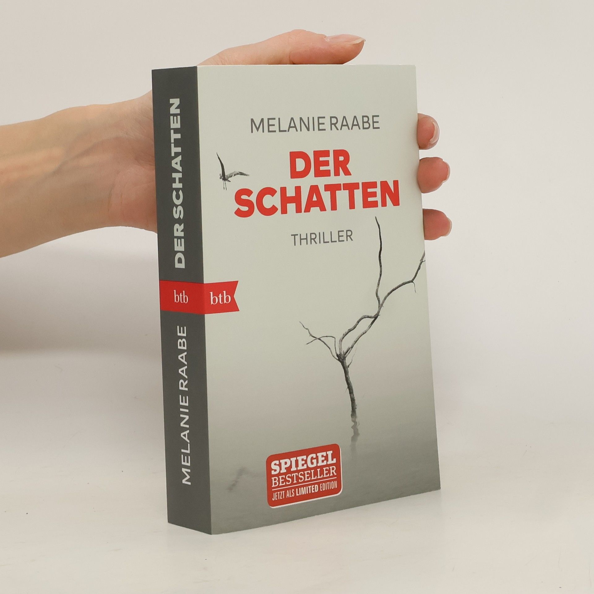 Melanie Raabe Der Schatten