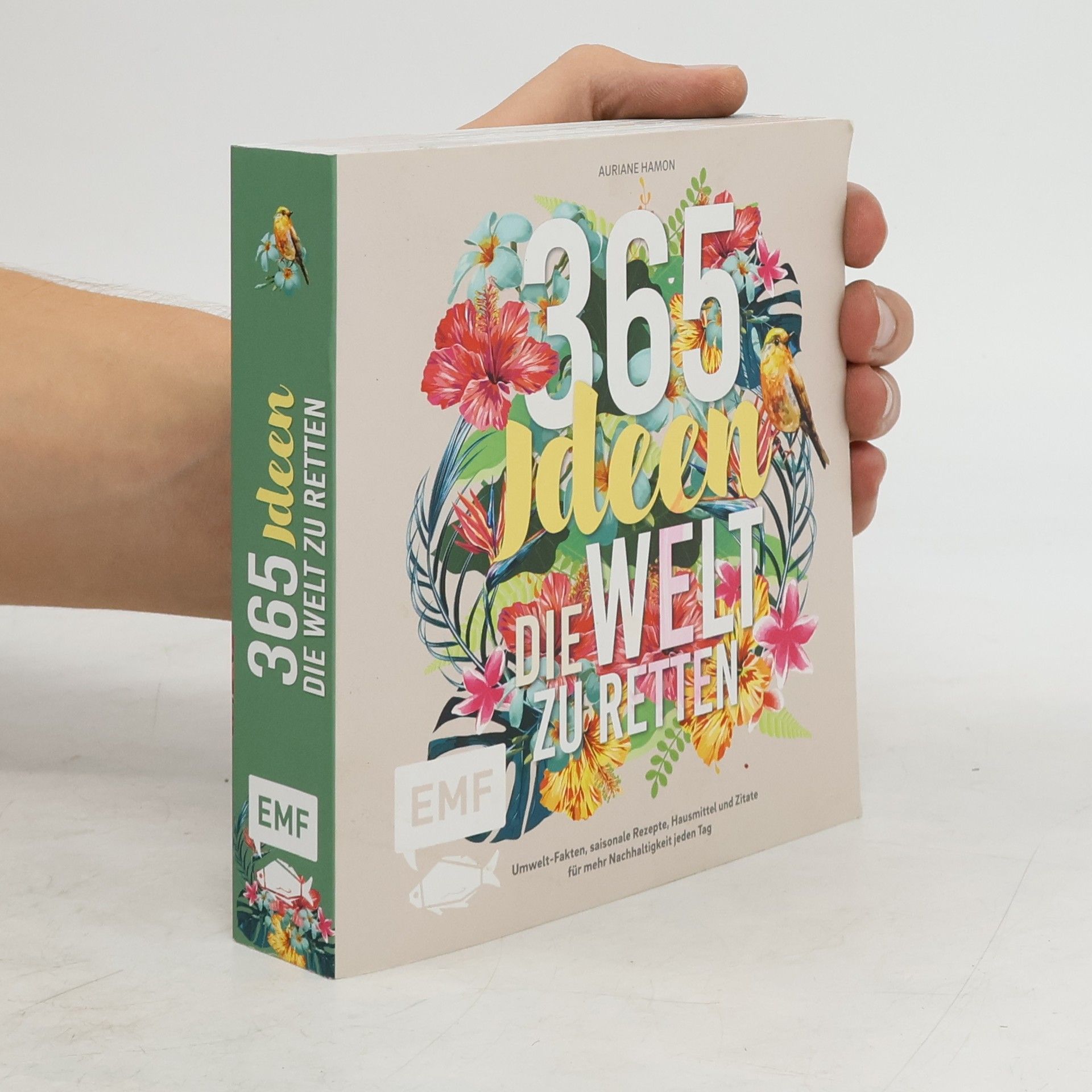 Auriane Hamon 365 Ideen, die Welt zu retten