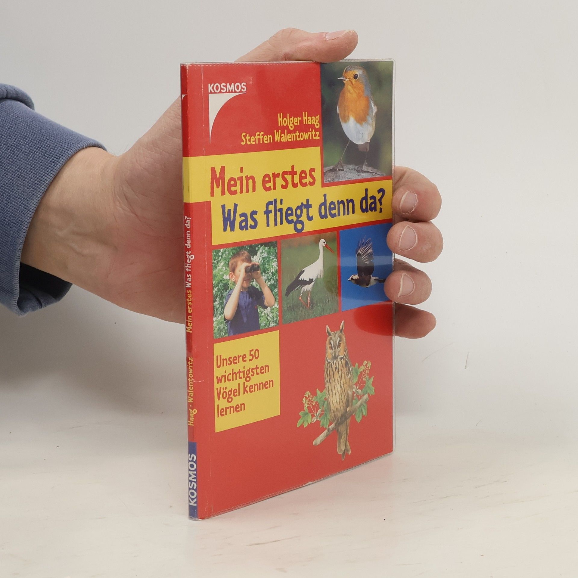 Holger Haag Mein erstes Was fliegt denn da?