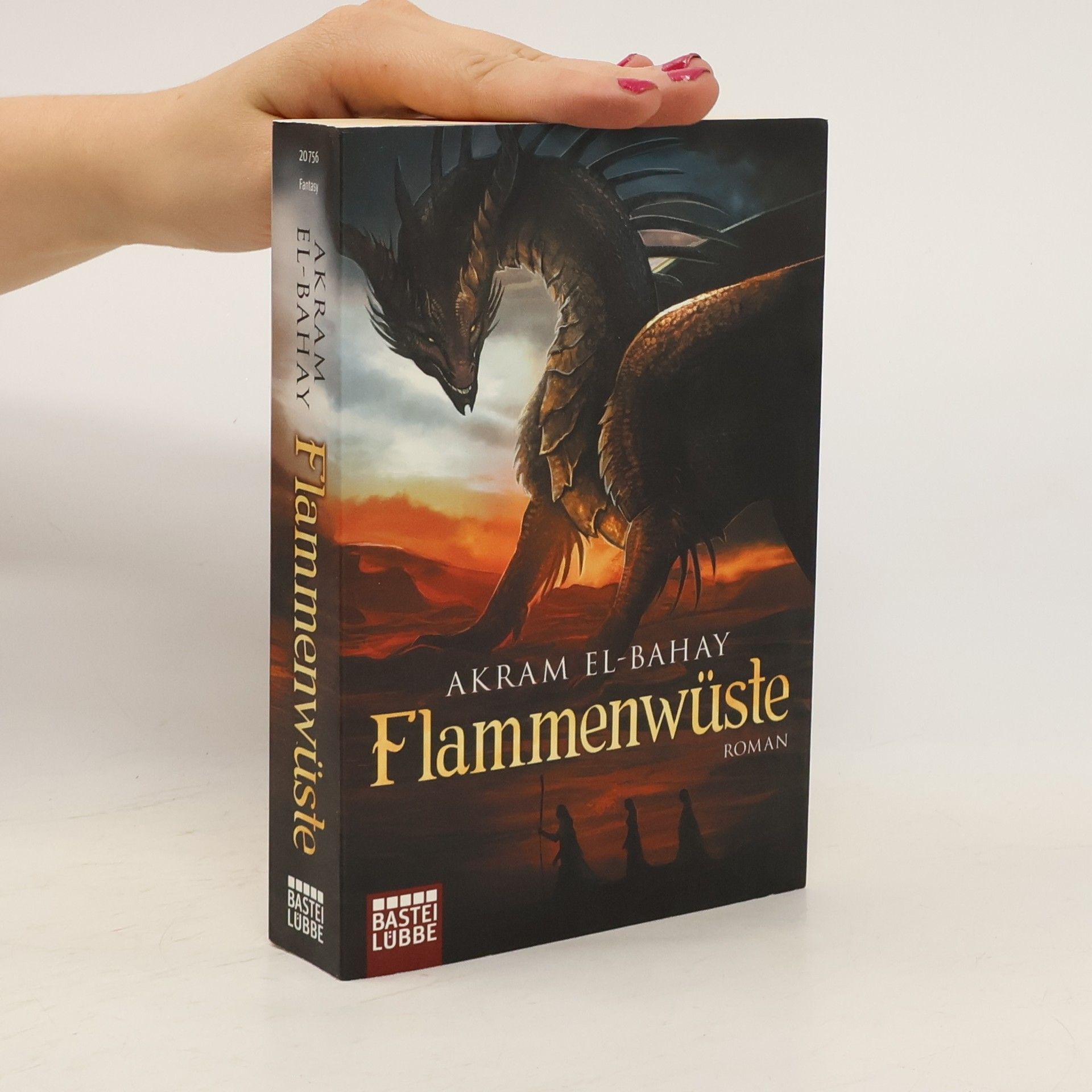 Akram El-Bahay Flammenwüste