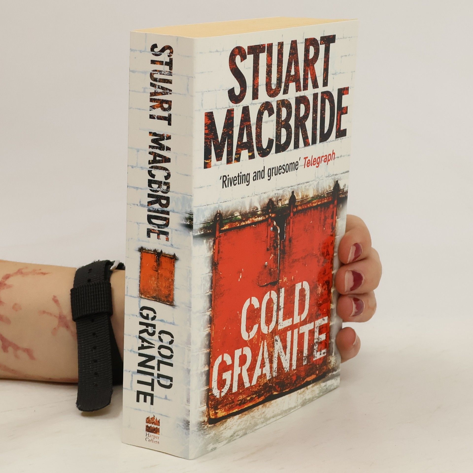 Stuart Macbride Cold granite