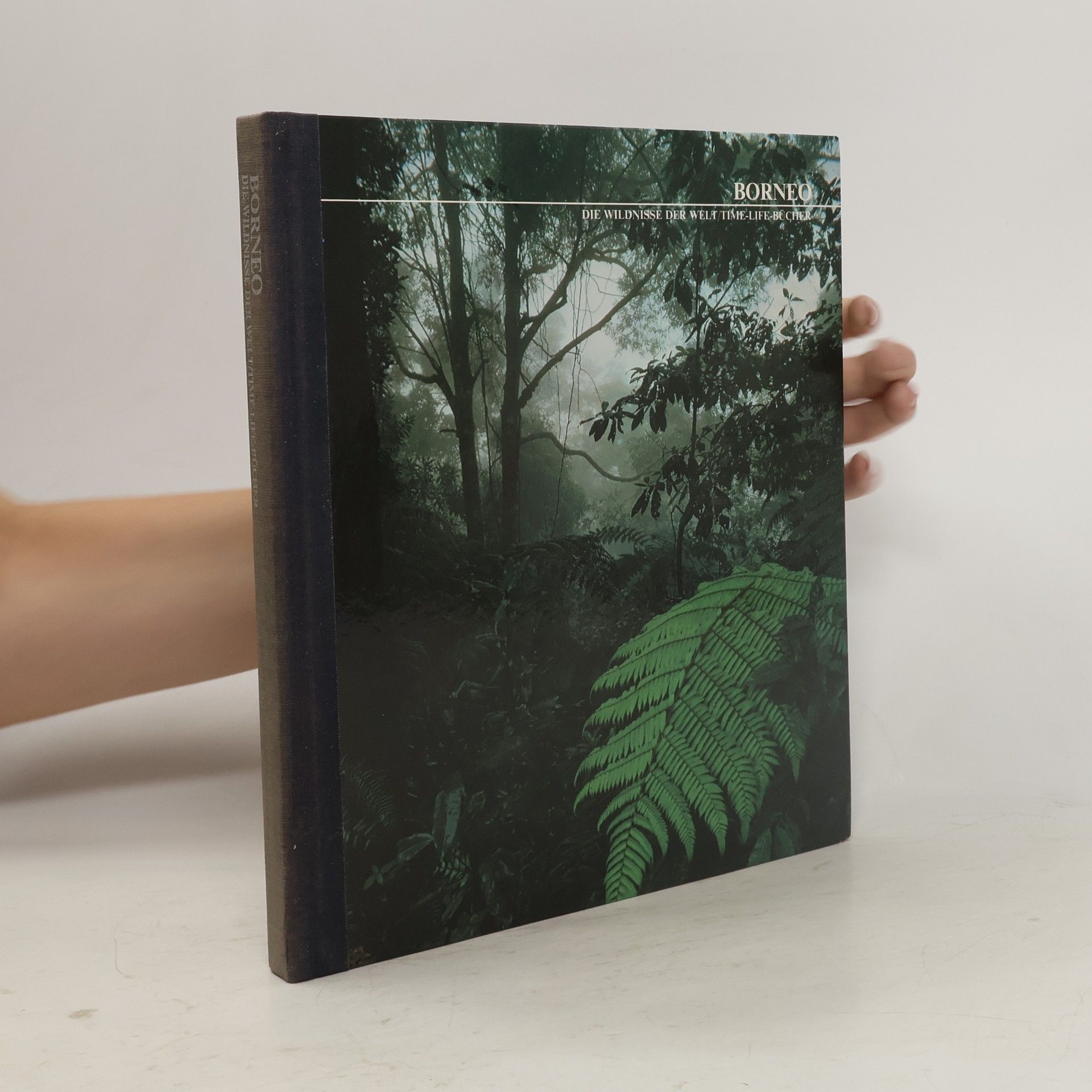 kolektiv Borneo