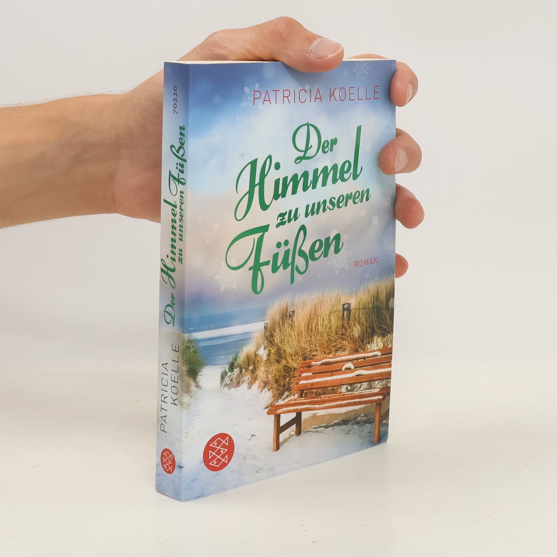 Patricia Koelle Der Himmel zu unseren Füßen