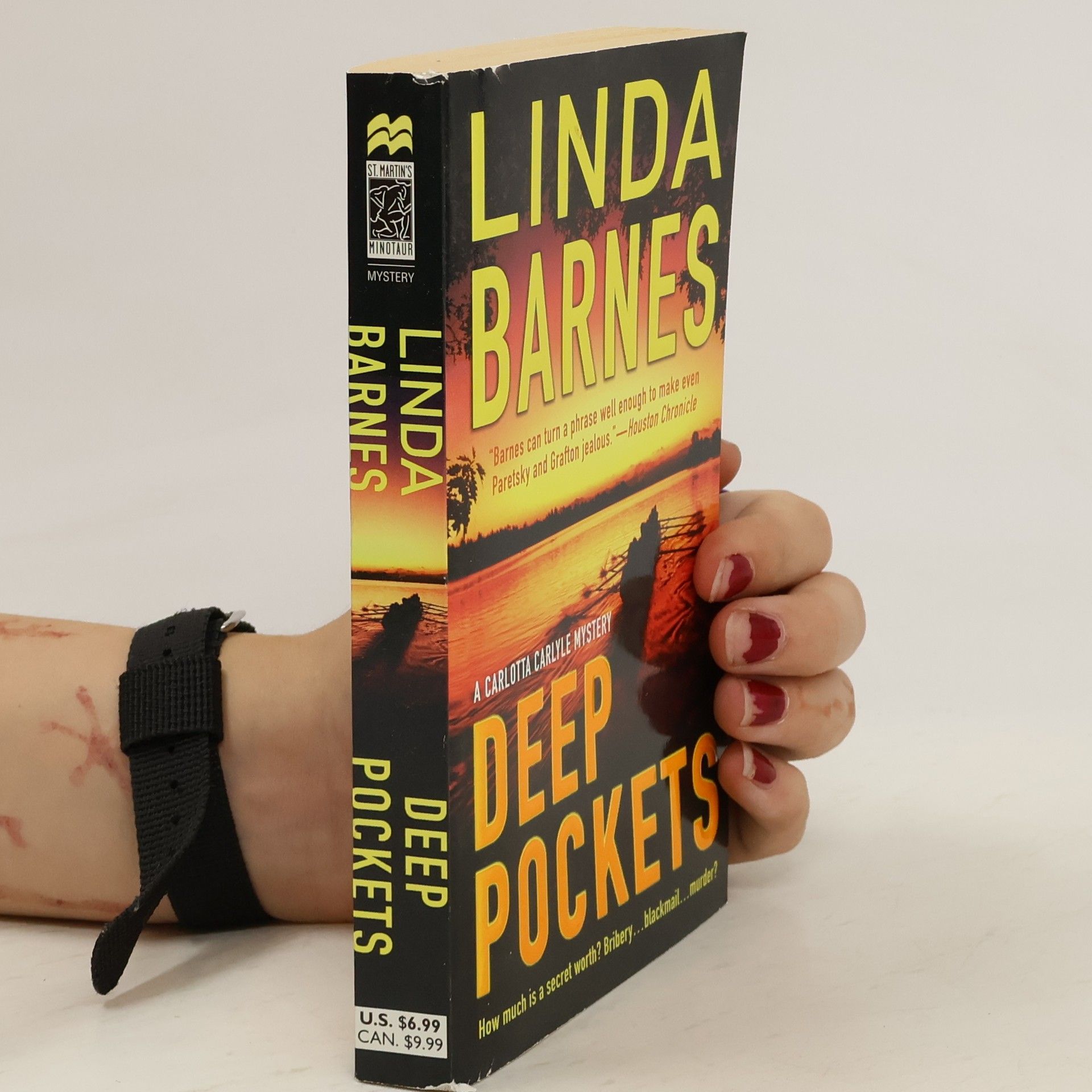 Linda Barnes Deep Pockets