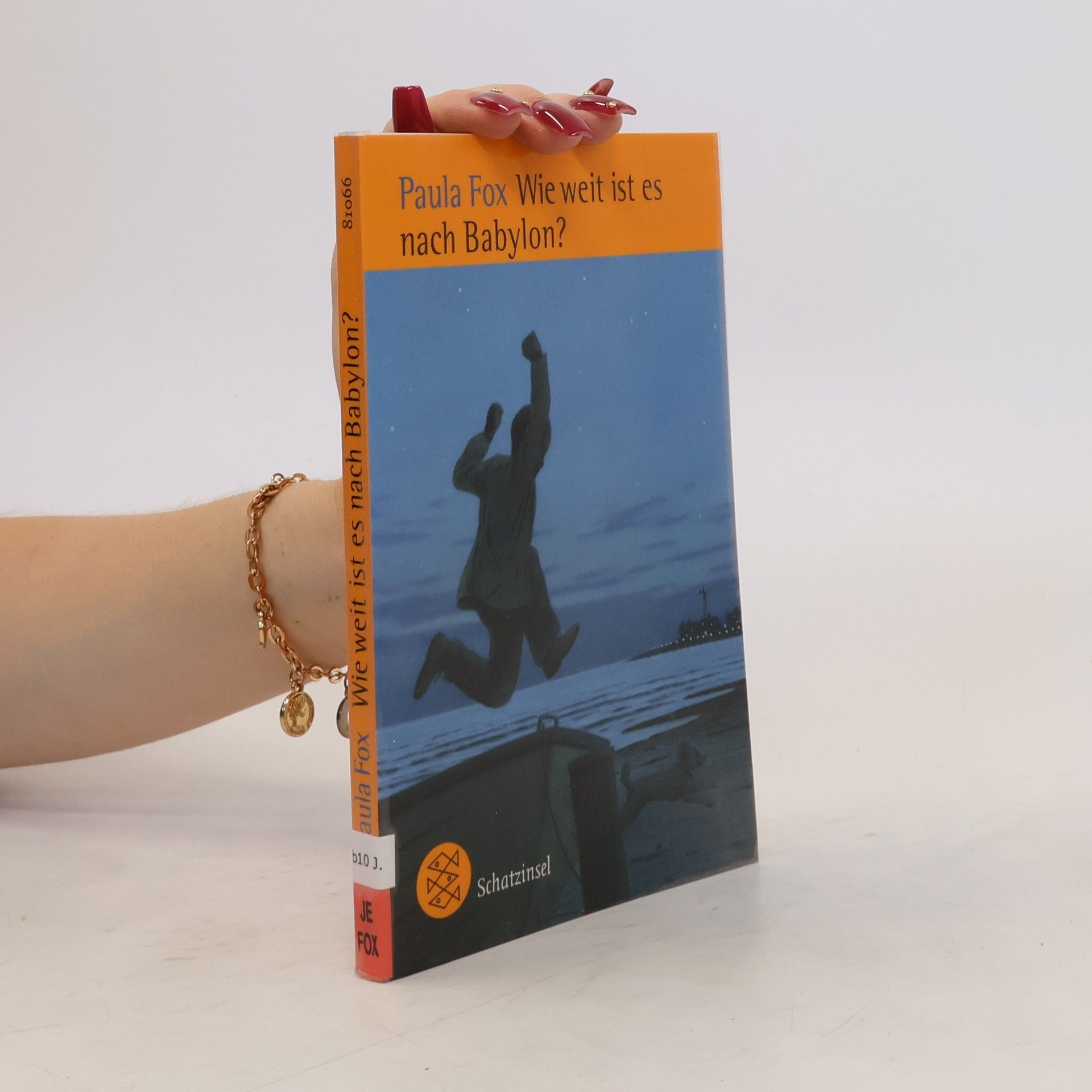 Paula Fox Wie weit ist es nach Babylon?