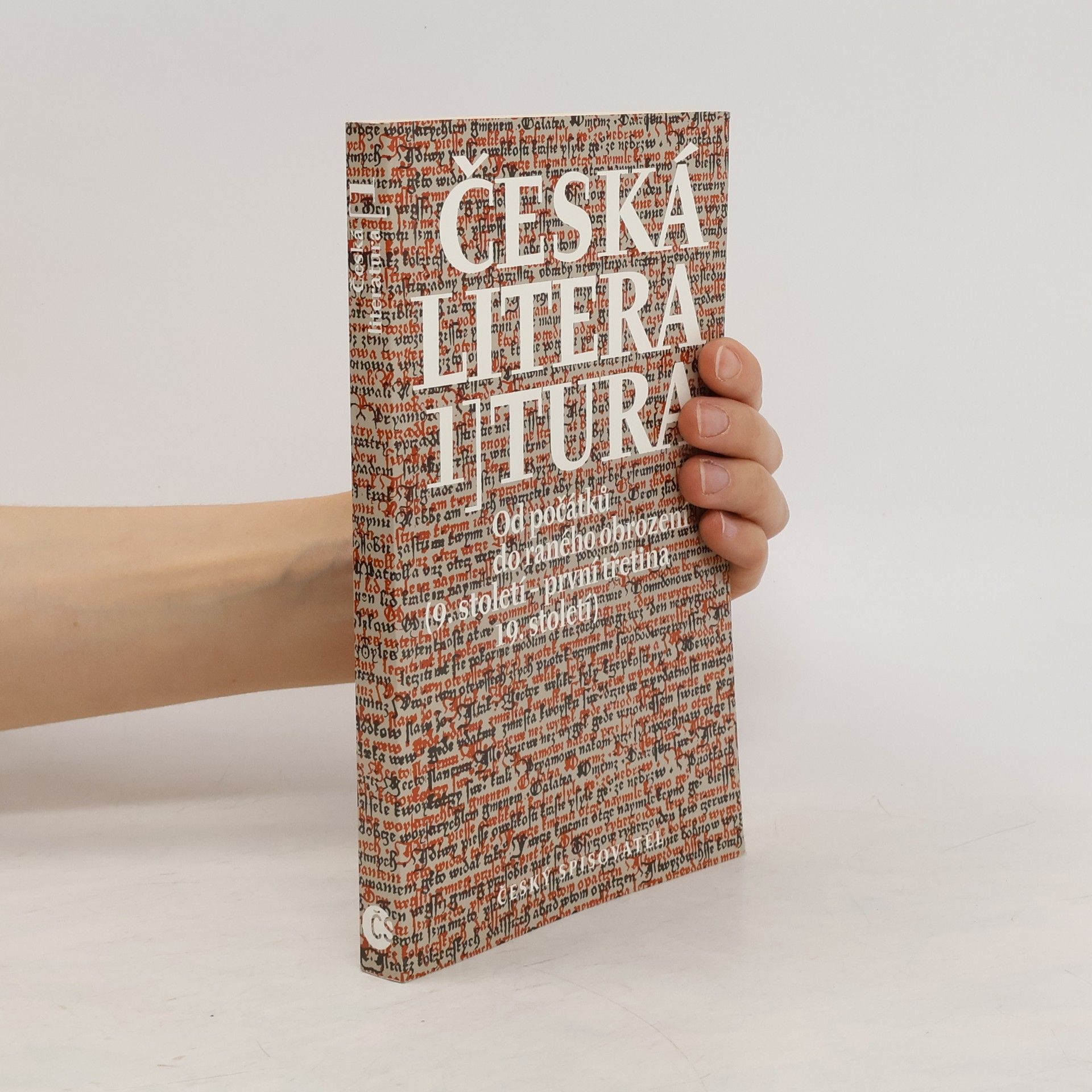 Alexandr Stich Česká literatura I